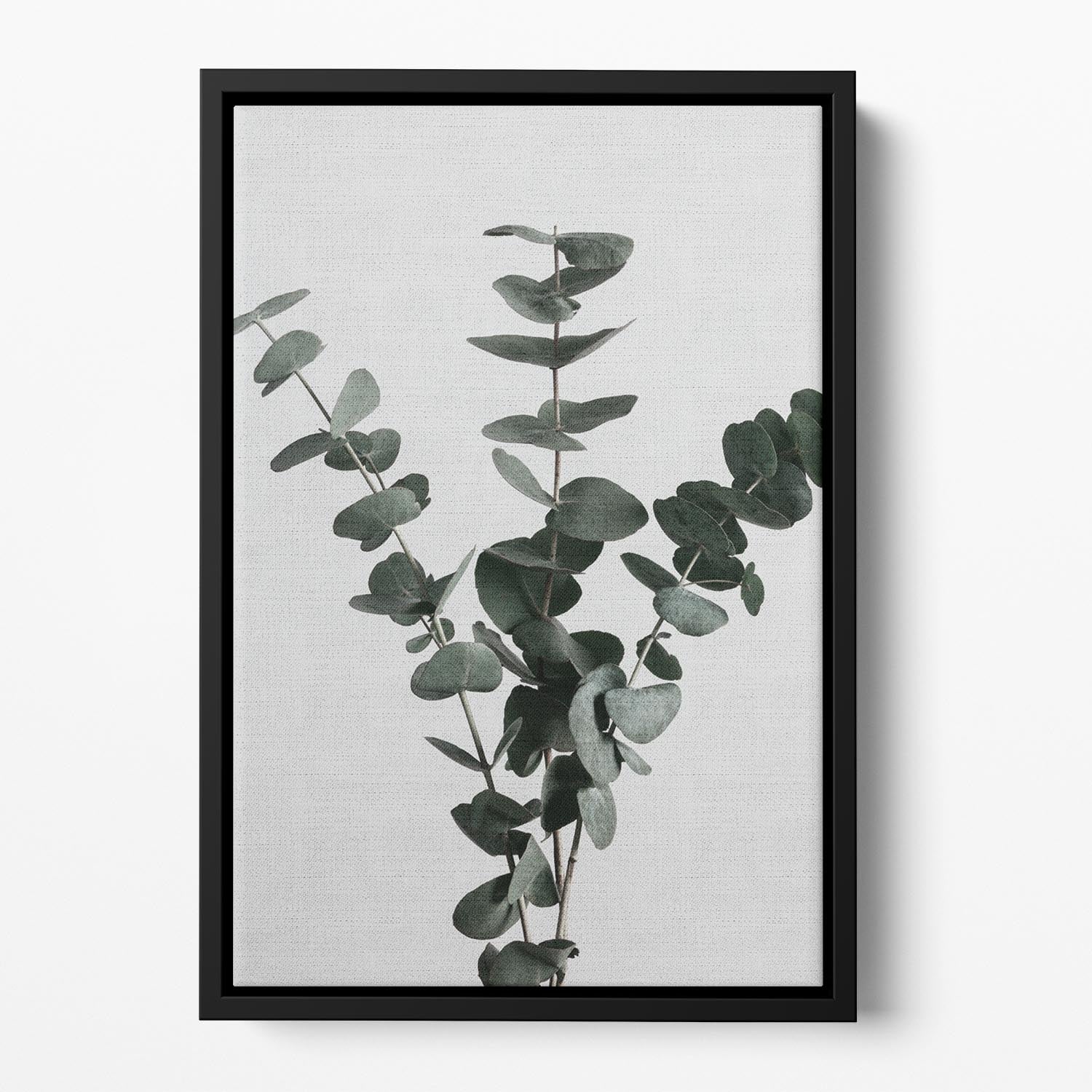 Eucalyptus Natural 01 Floating Framed Canvas - Canvas Art Rocks - 2