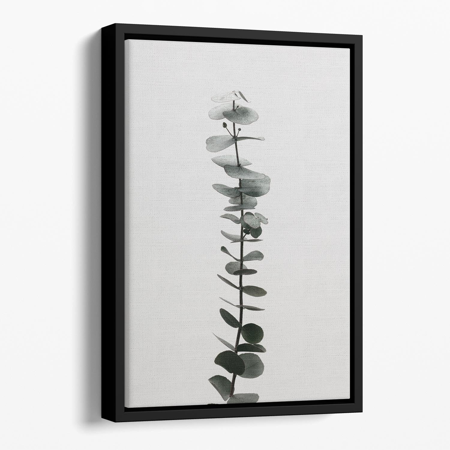 Eucalyptus Natural 02 Floating Framed Canvas - Canvas Art Rocks - 1