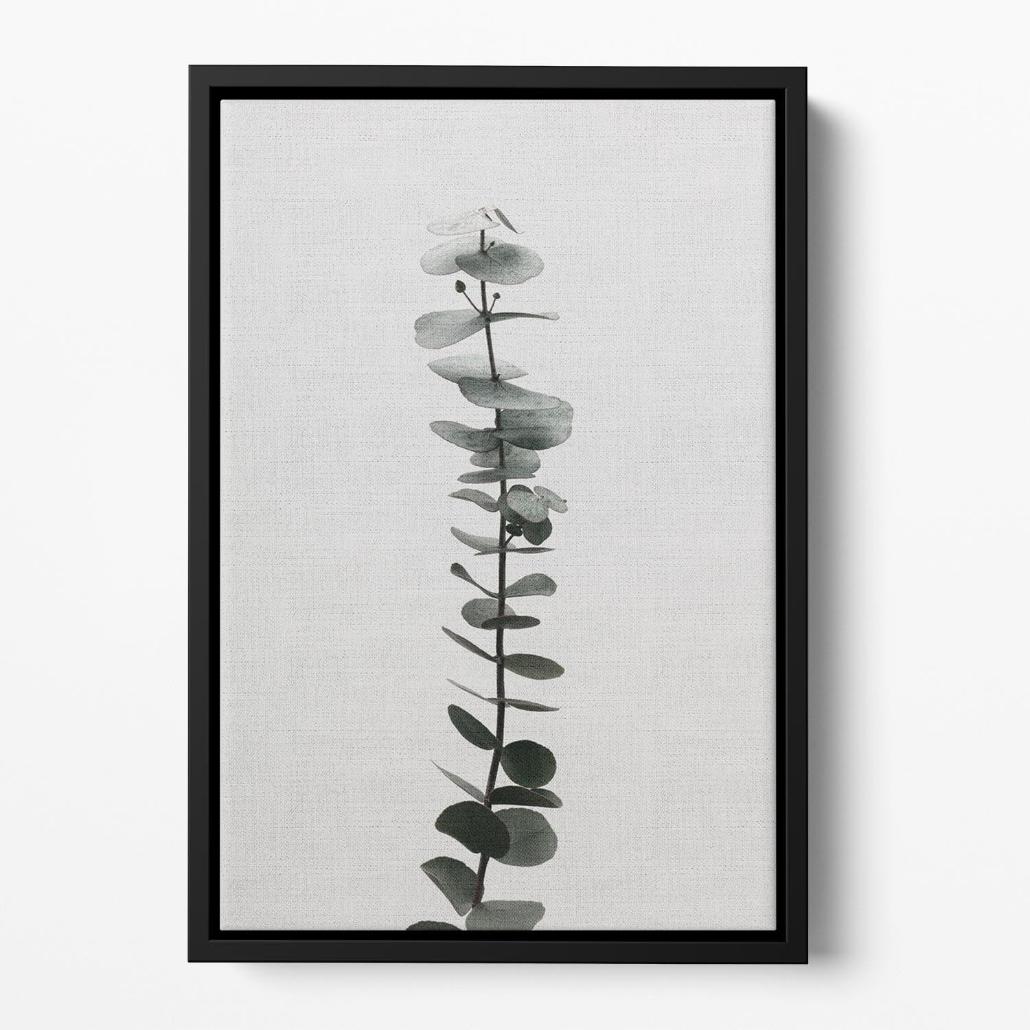 Eucalyptus Natural 02 Floating Framed Canvas - Canvas Art Rocks - 2