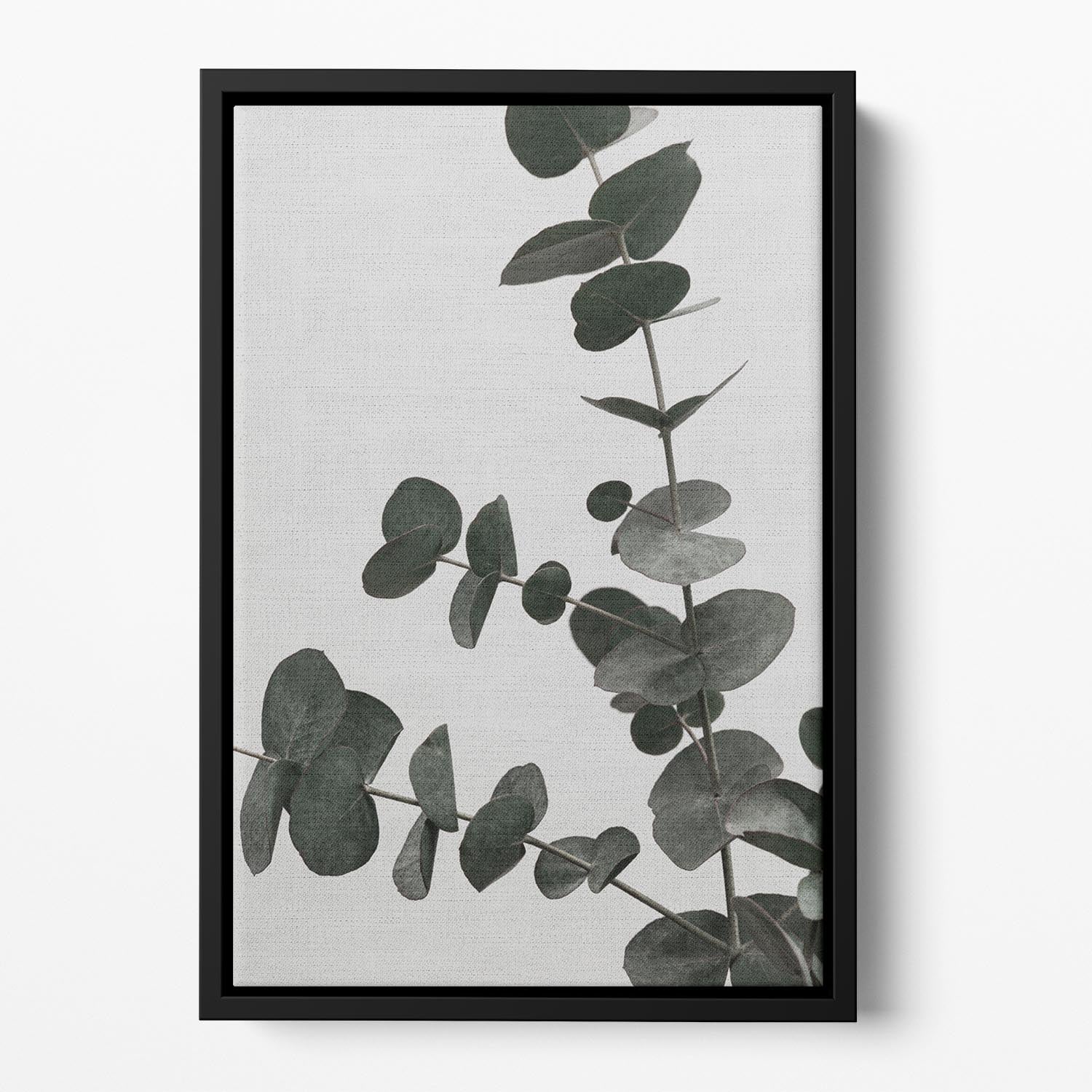 Eucalyptus Natural 05 Floating Framed Canvas - Canvas Art Rocks - 2