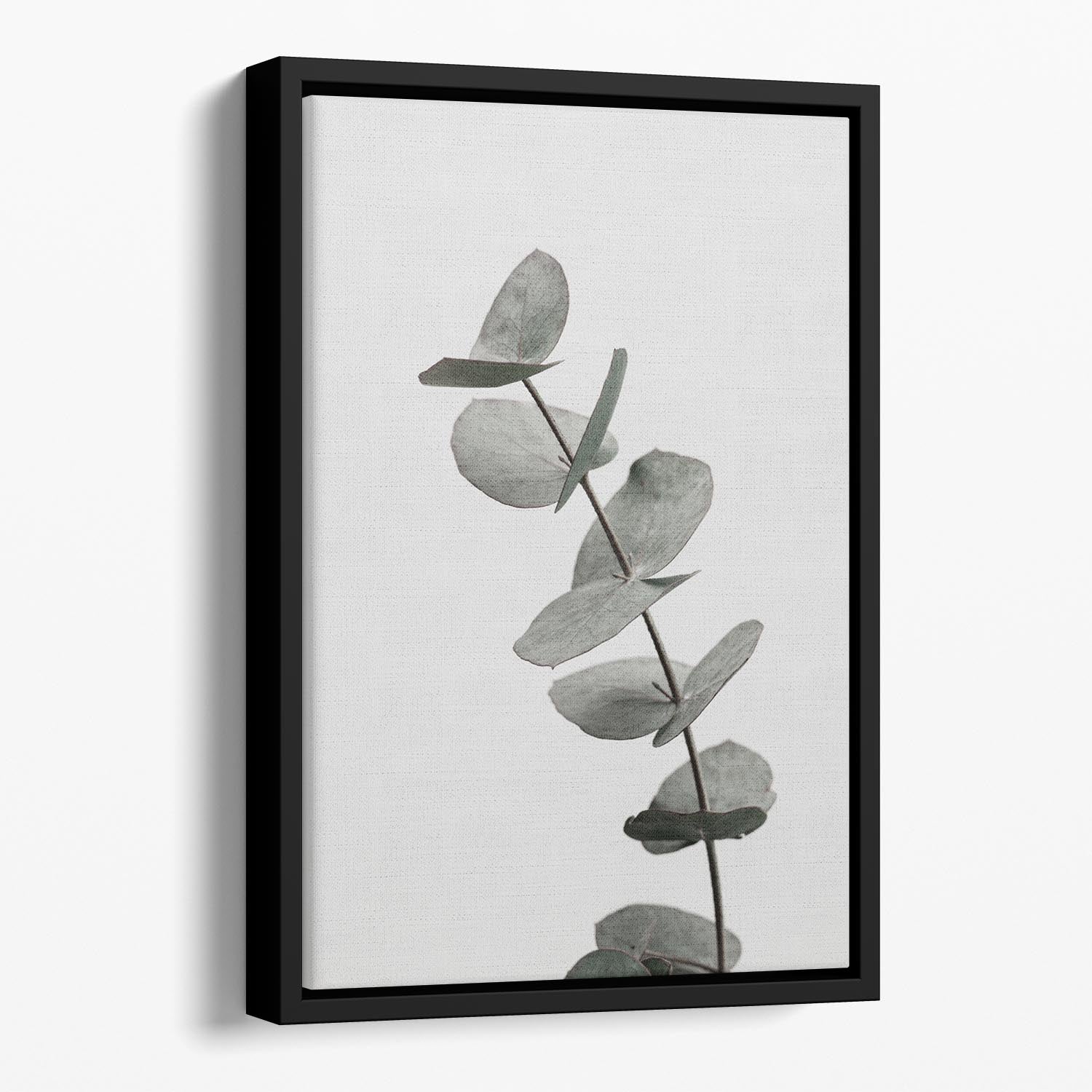 Eucalyptus Natural 06 Floating Framed Canvas - Canvas Art Rocks - 1