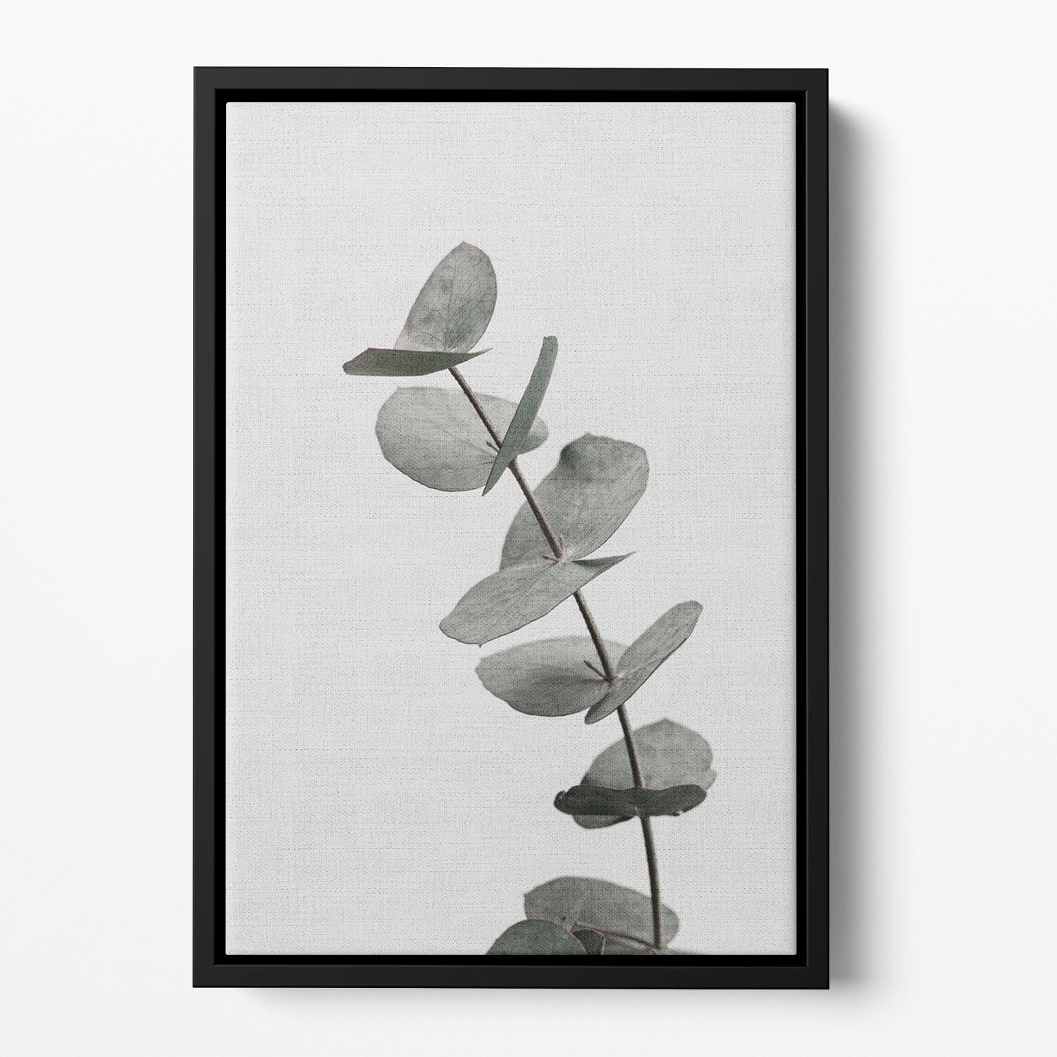 Eucalyptus Natural 06 Floating Framed Canvas - Canvas Art Rocks - 2