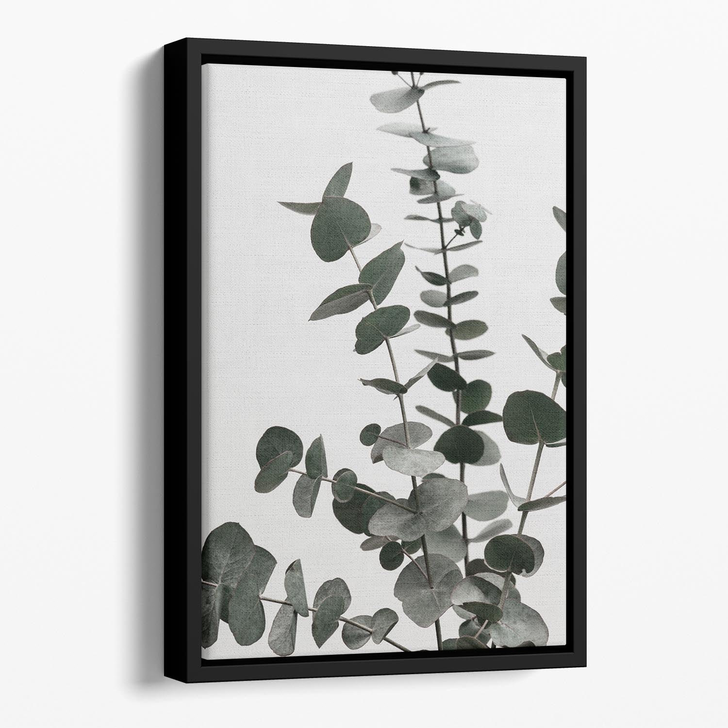 Eucalyptus Natural 07 Floating Framed Canvas - Canvas Art Rocks - 1