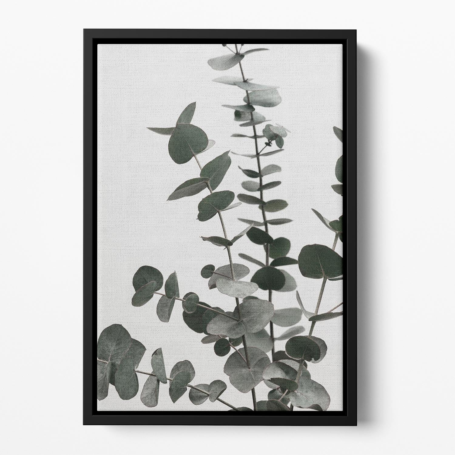 Eucalyptus Natural 07 Floating Framed Canvas - Canvas Art Rocks - 2