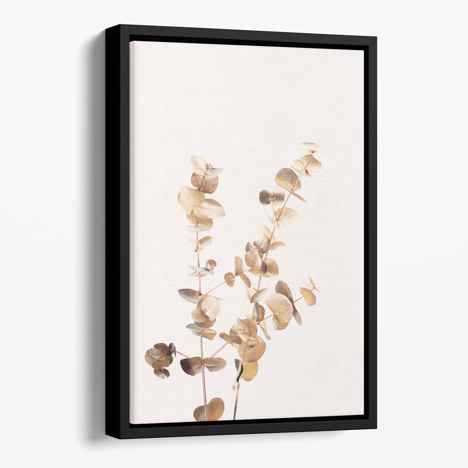 Eucalyptus Gold No 02 Floating Framed Canvas - Canvas Art Rocks - 1