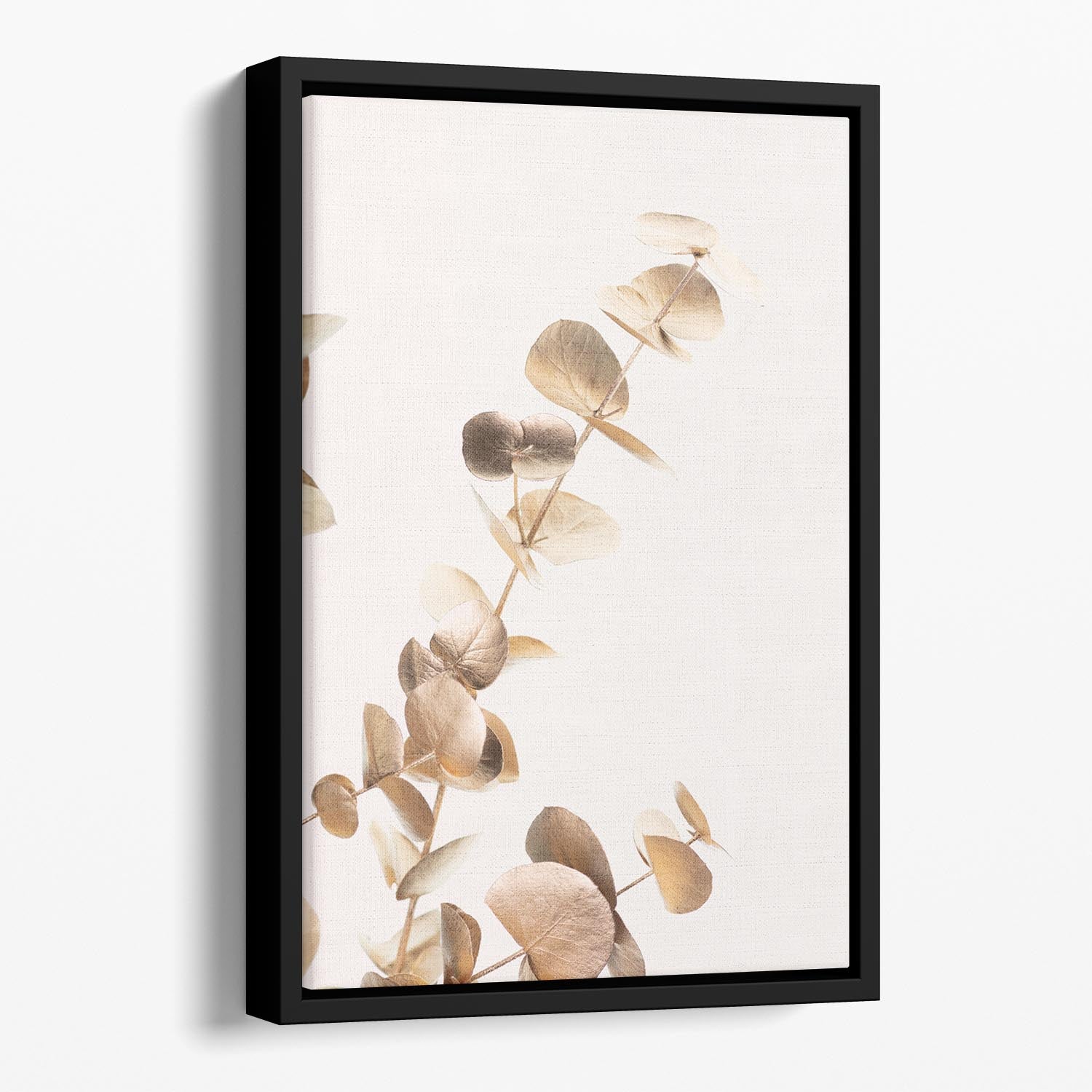 Eucalyptus Gold No 03 Floating Framed Canvas - Canvas Art Rocks - 1