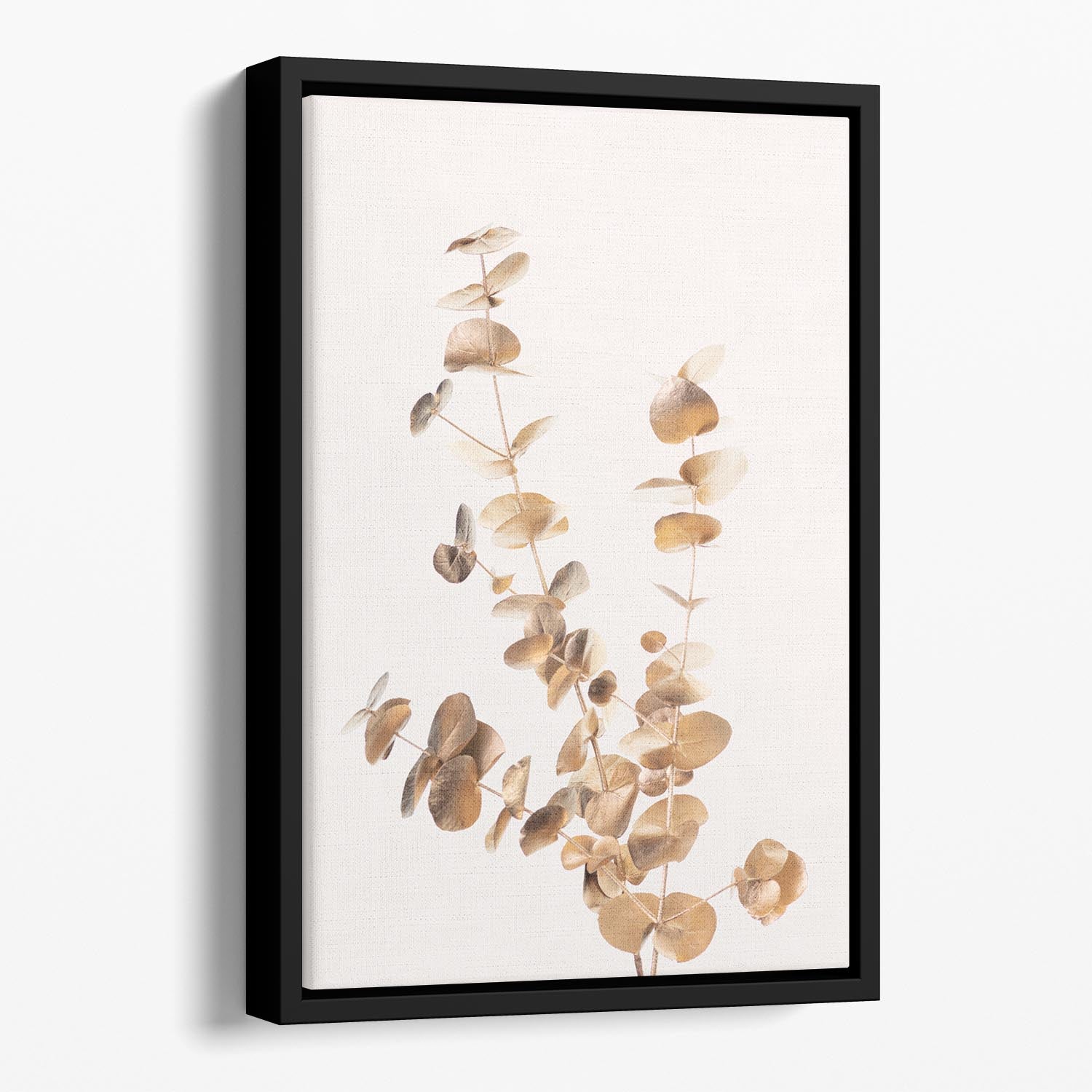 Eucalyptus Gold No 04 Floating Framed Canvas - Canvas Art Rocks - 1