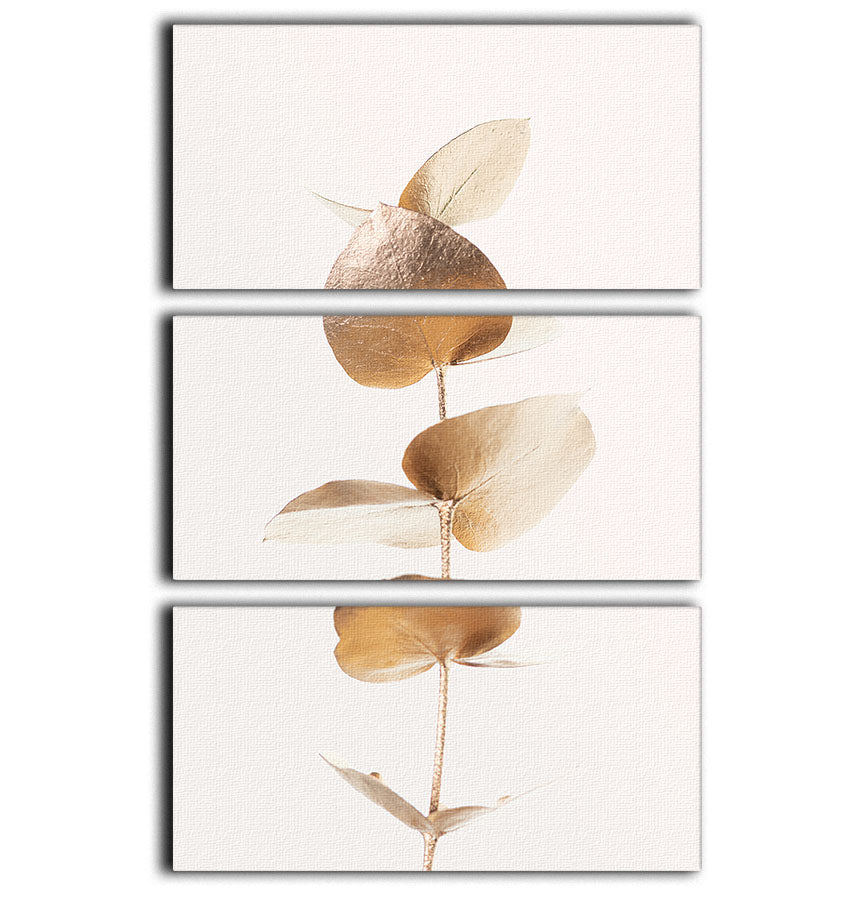 Eucalyptus Gold No 06 3 Split Panel Canvas Print - Canvas Art Rocks - 1
