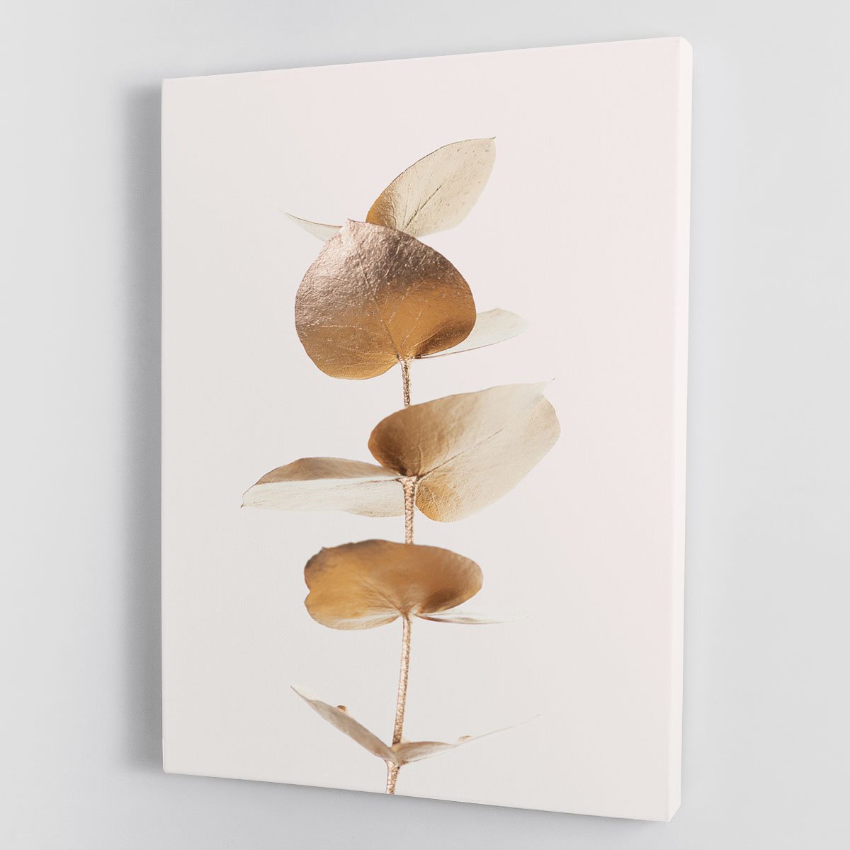 Eucalyptus Gold No 06 Canvas Print or Poster - Canvas Art Rocks - 1
