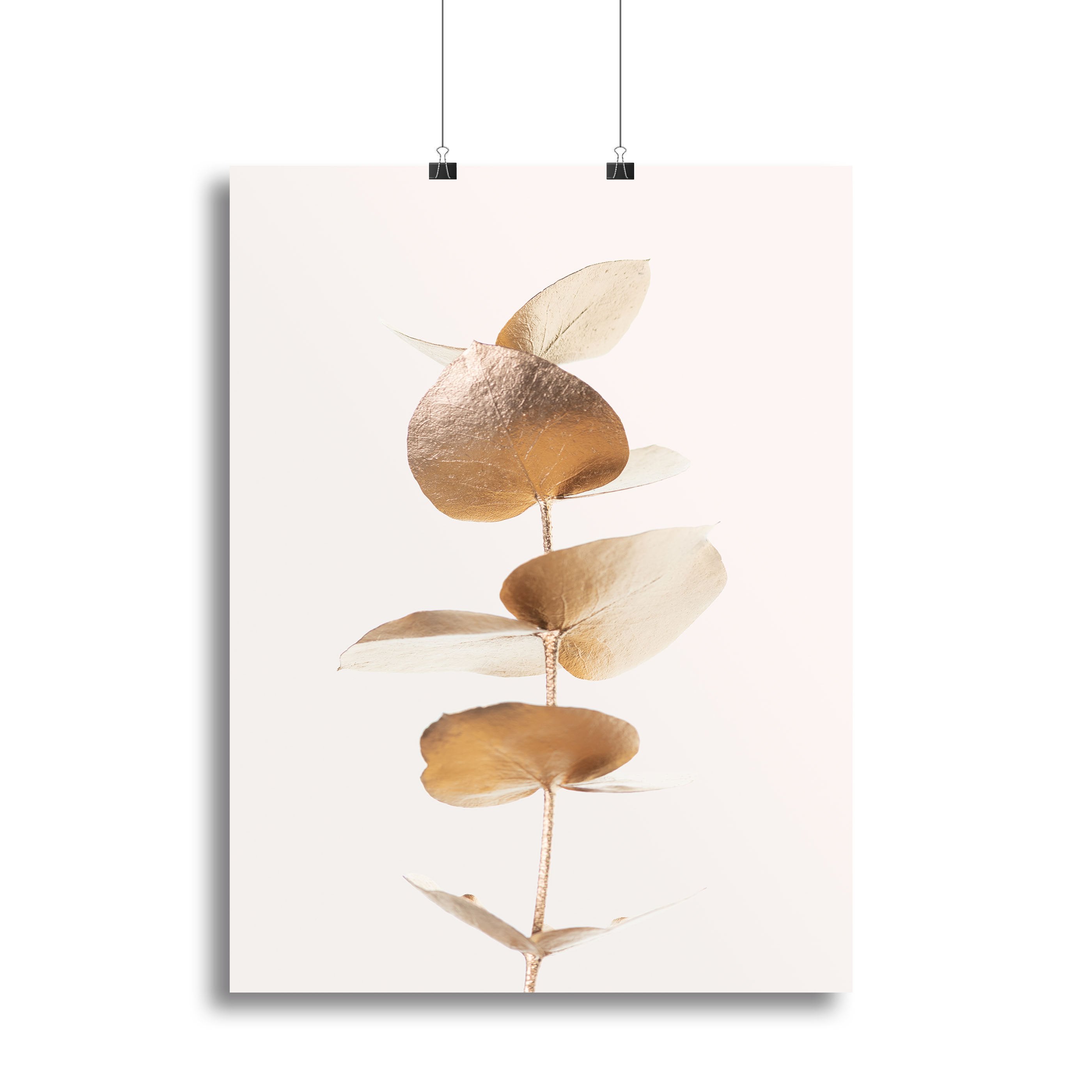 Eucalyptus Gold No 06 Canvas Print or Poster - Canvas Art Rocks - 2