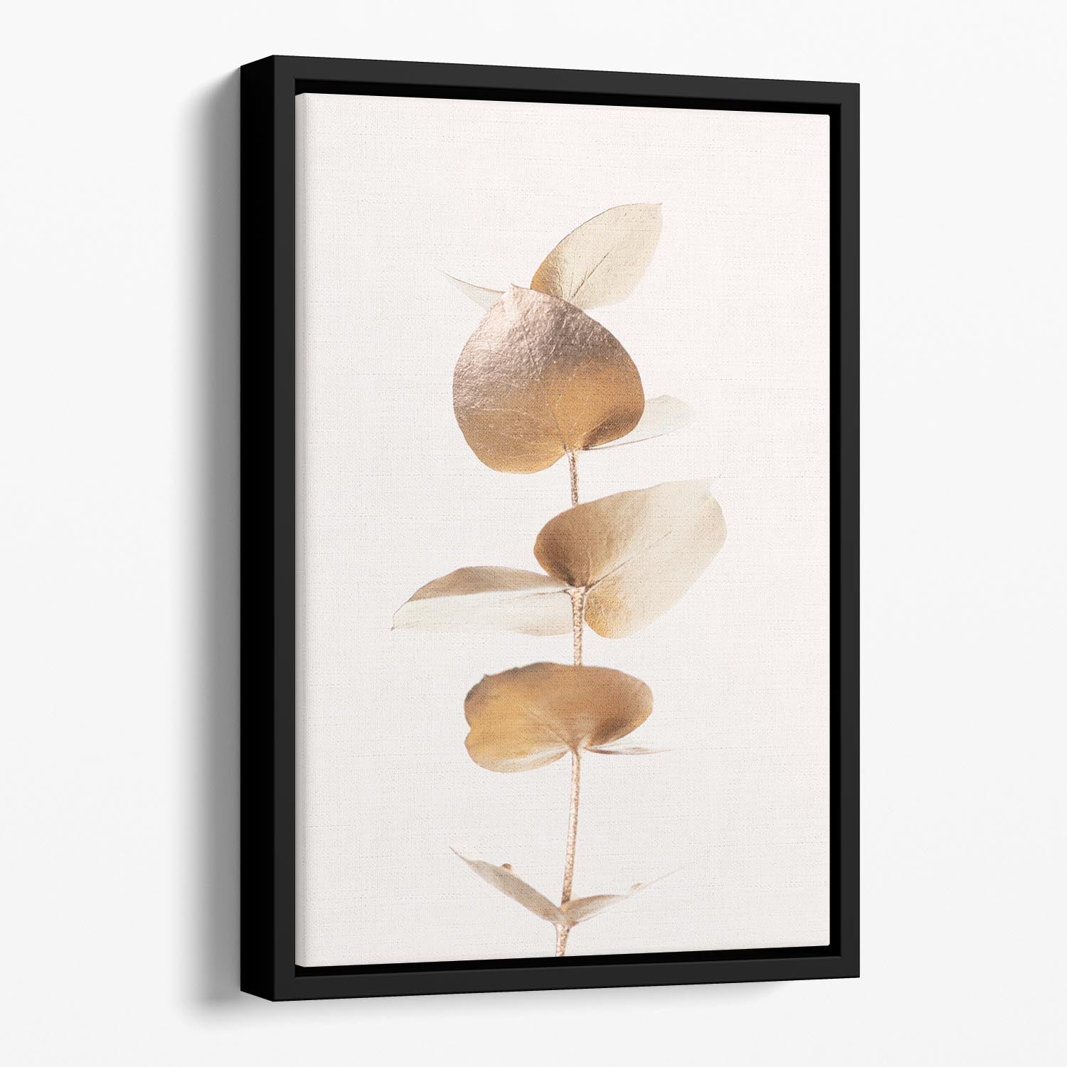 Eucalyptus Gold No 06 Floating Framed Canvas - Canvas Art Rocks - 1