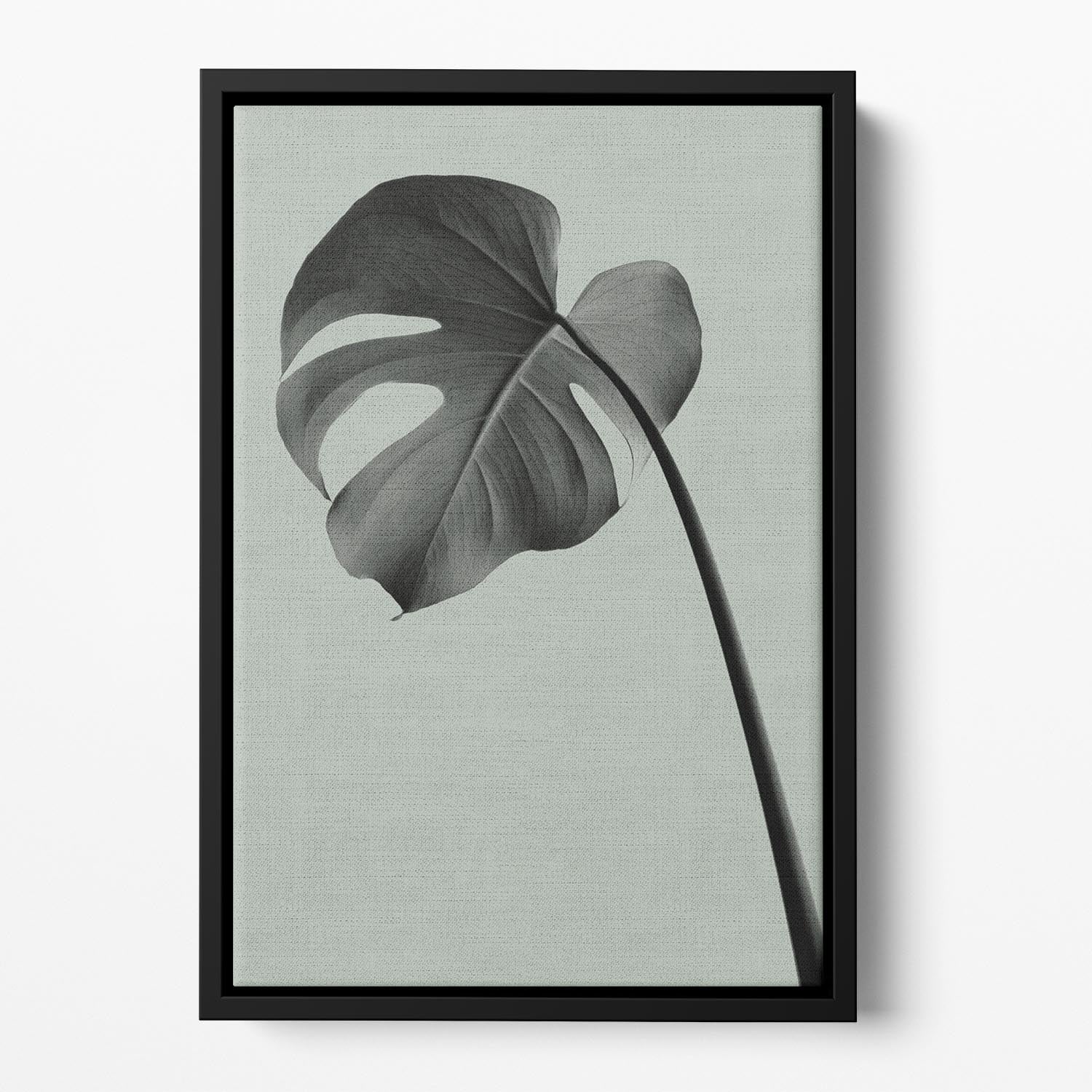 Monstera Teal 02 Floating Framed Canvas - Canvas Art Rocks - 2