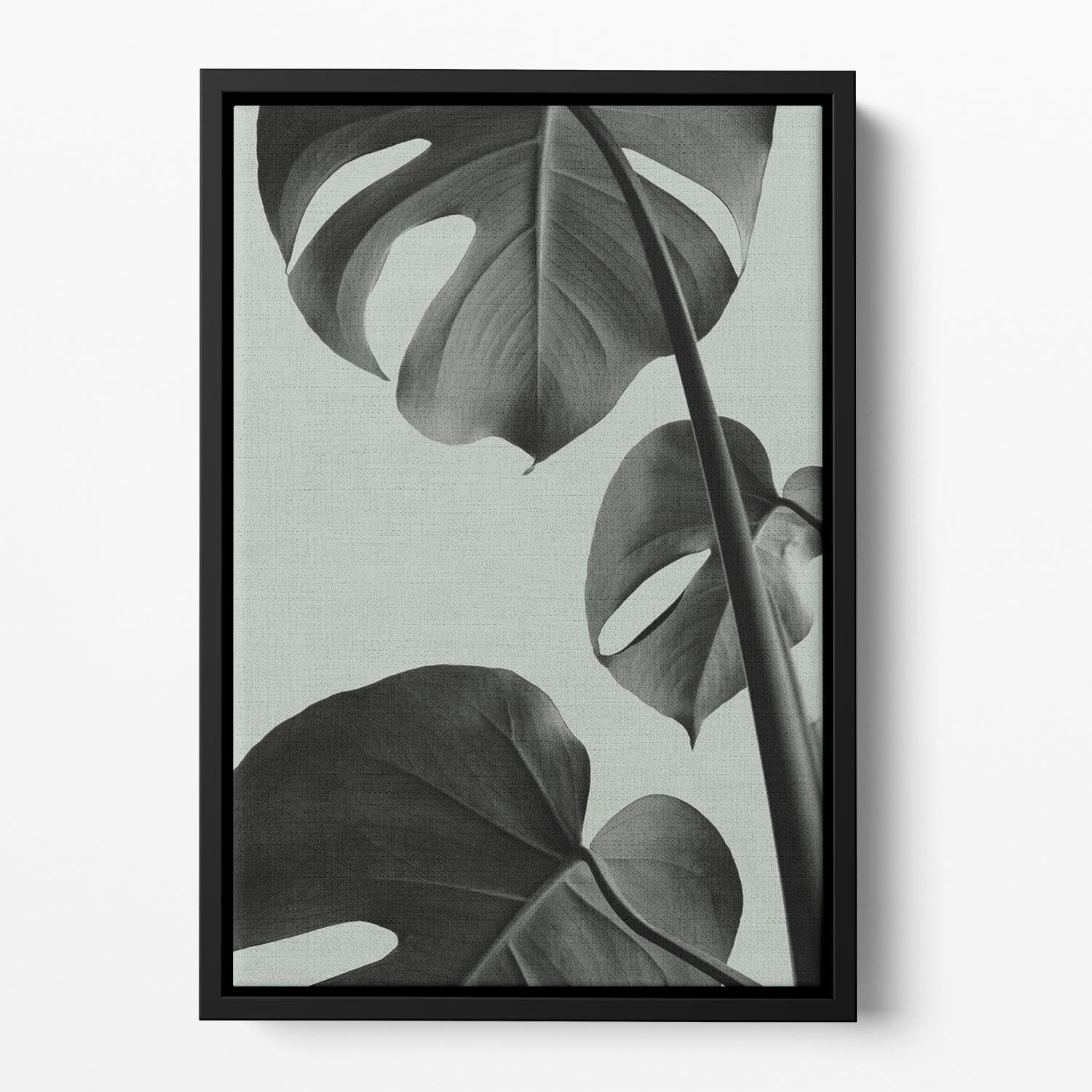 Monstera Teal 03 Floating Framed Canvas - Canvas Art Rocks - 2