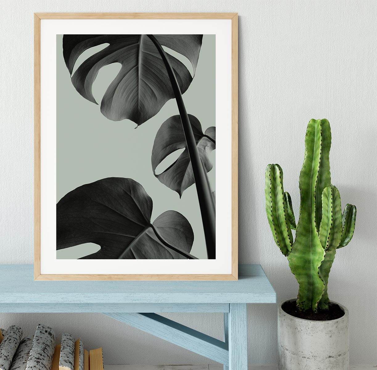 Monstera Teal 03 Framed Print - Canvas Art Rocks - 3