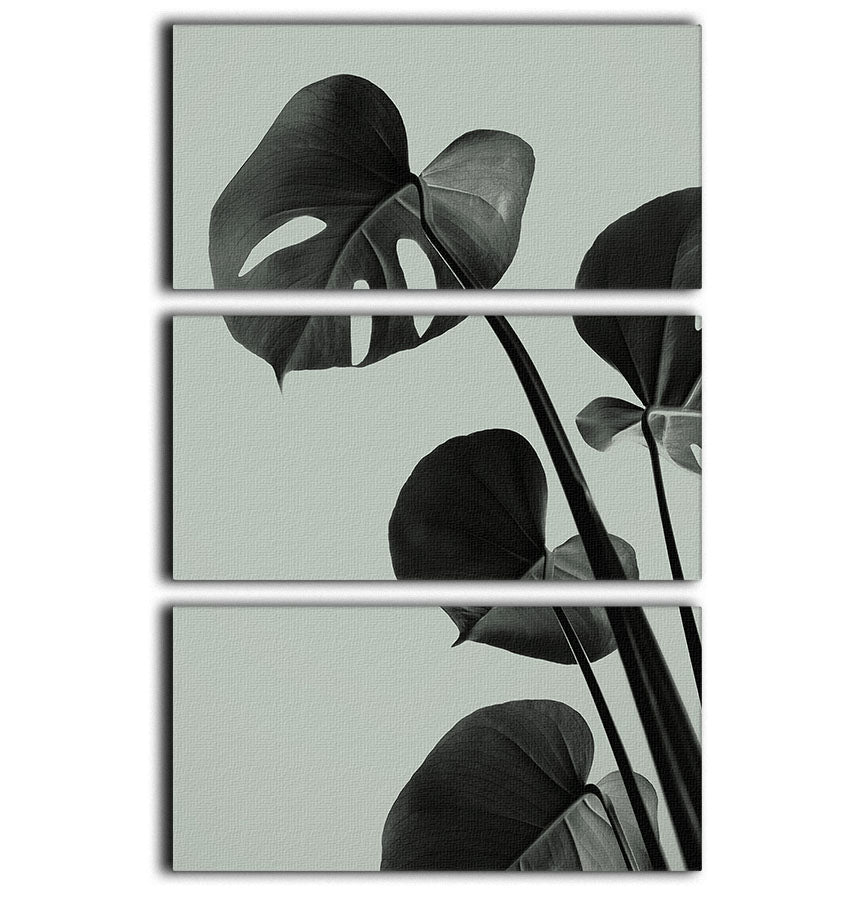 Monstera Teal 04 3 Split Panel Canvas Print - Canvas Art Rocks - 1