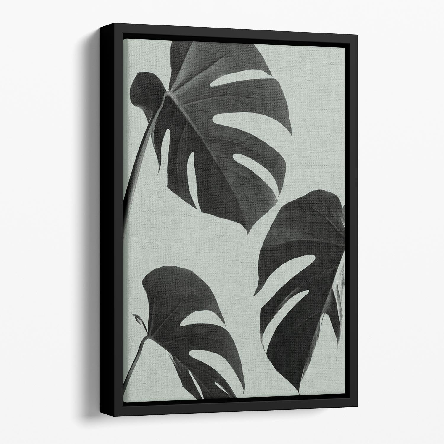 Monstera Teal 05 Floating Framed Canvas - Canvas Art Rocks - 1