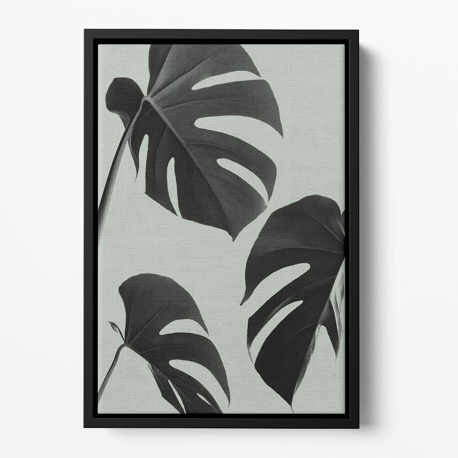 Monstera Teal 05 Floating Framed Canvas - Canvas Art Rocks - 2