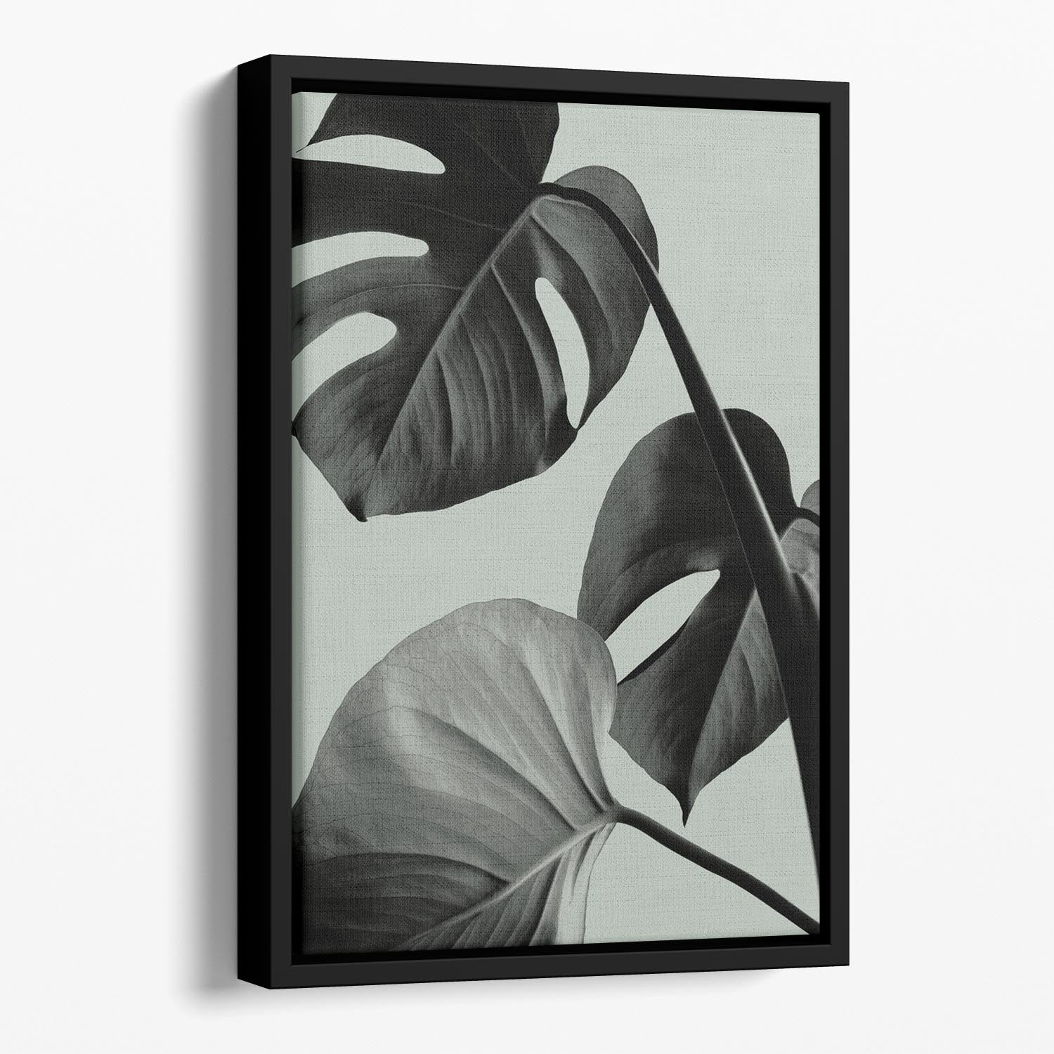 Monstera Teal 07 Floating Framed Canvas - Canvas Art Rocks - 1