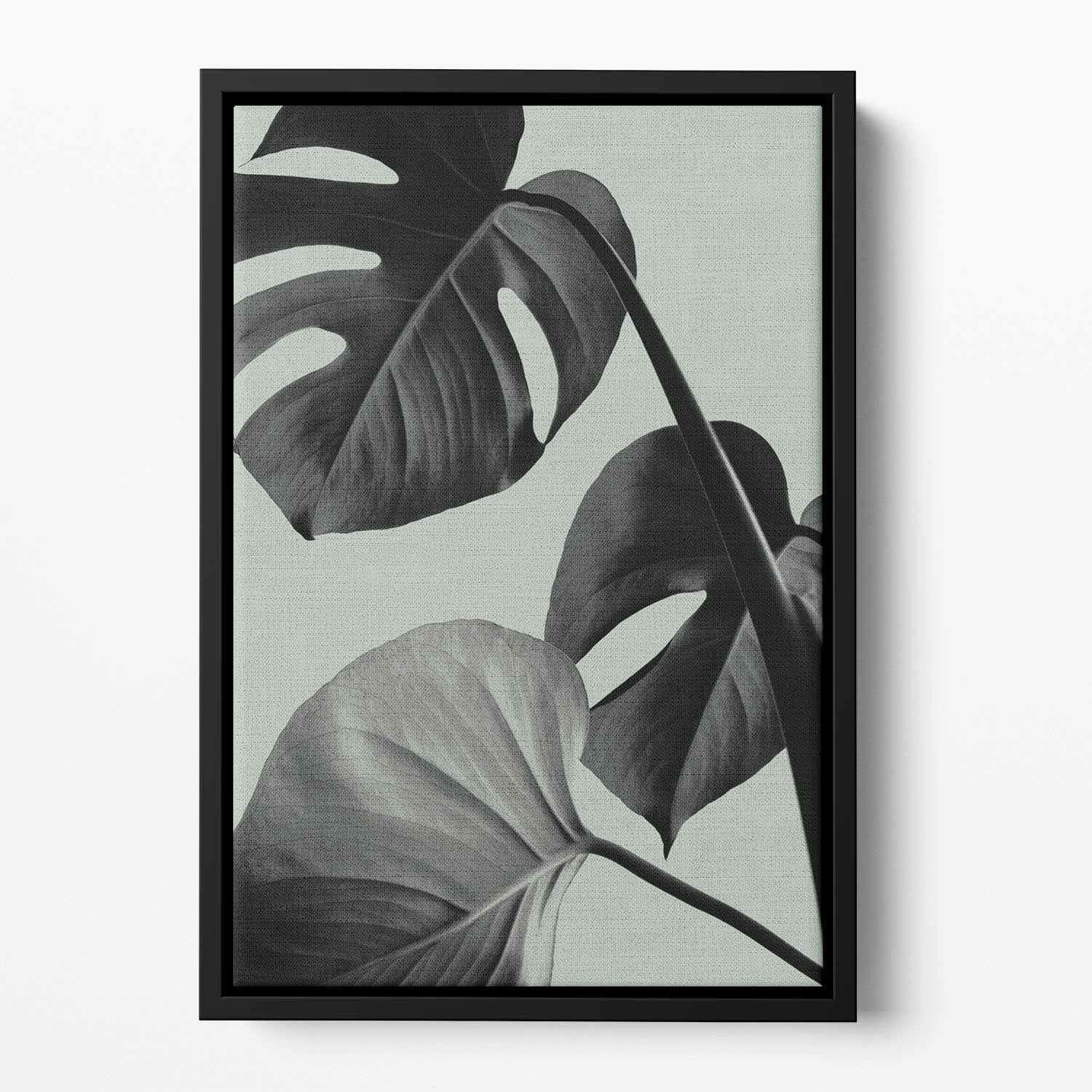 Monstera Teal 07 Floating Framed Canvas - Canvas Art Rocks - 2