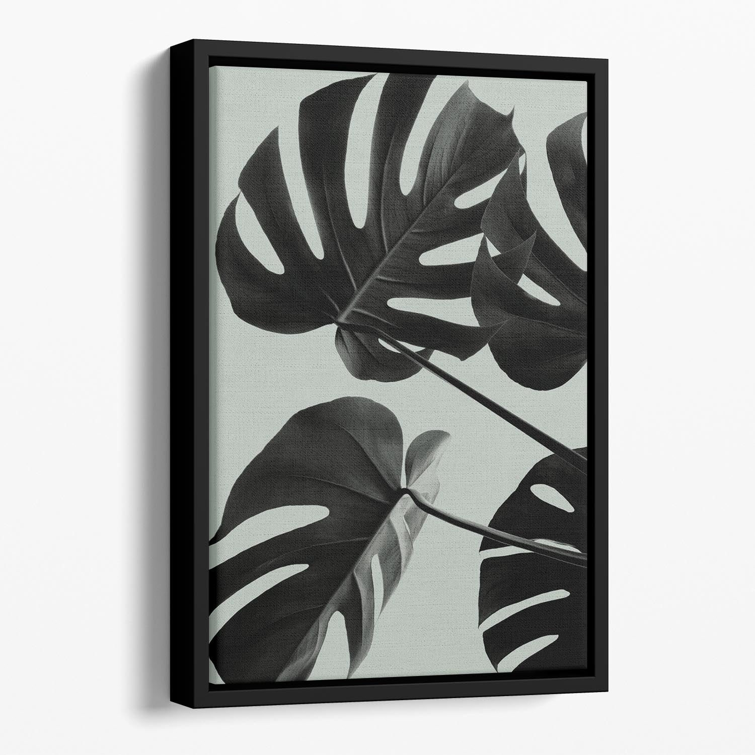 Monstera Teal 08 Floating Framed Canvas - Canvas Art Rocks - 1