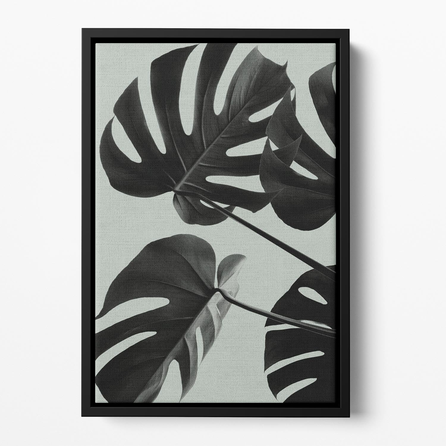 Monstera Teal 08 Floating Framed Canvas - Canvas Art Rocks - 2