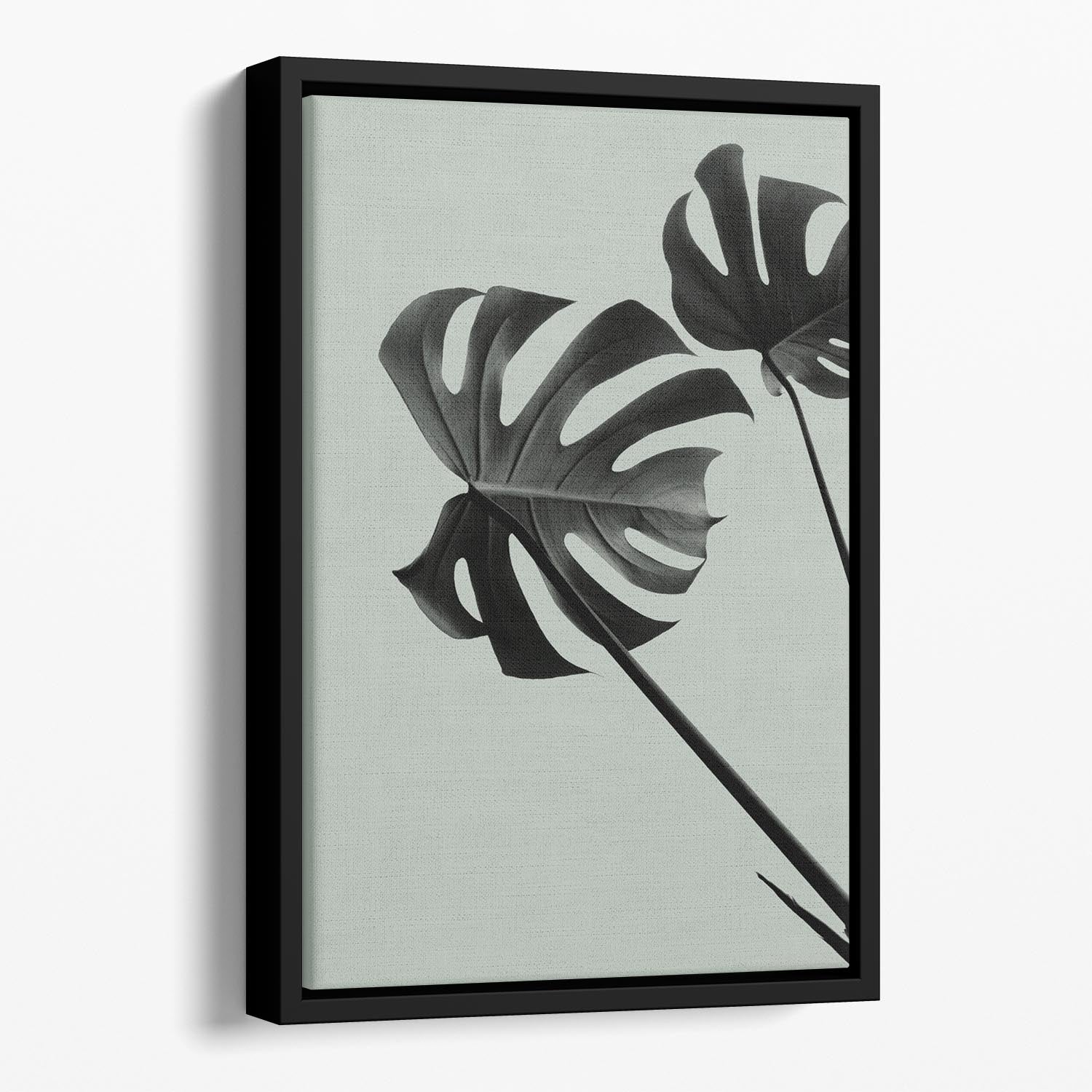 Monstera Teal 09 Floating Framed Canvas - Canvas Art Rocks - 1