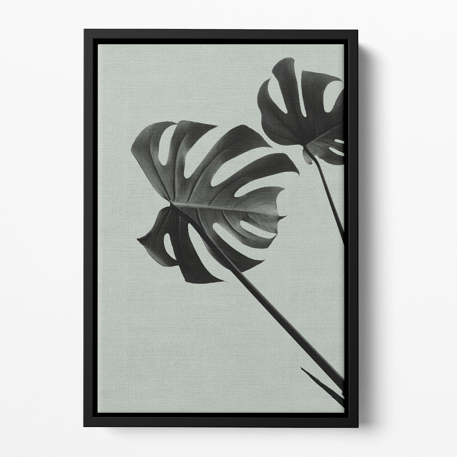 Monstera Teal 09 Floating Framed Canvas - Canvas Art Rocks - 2