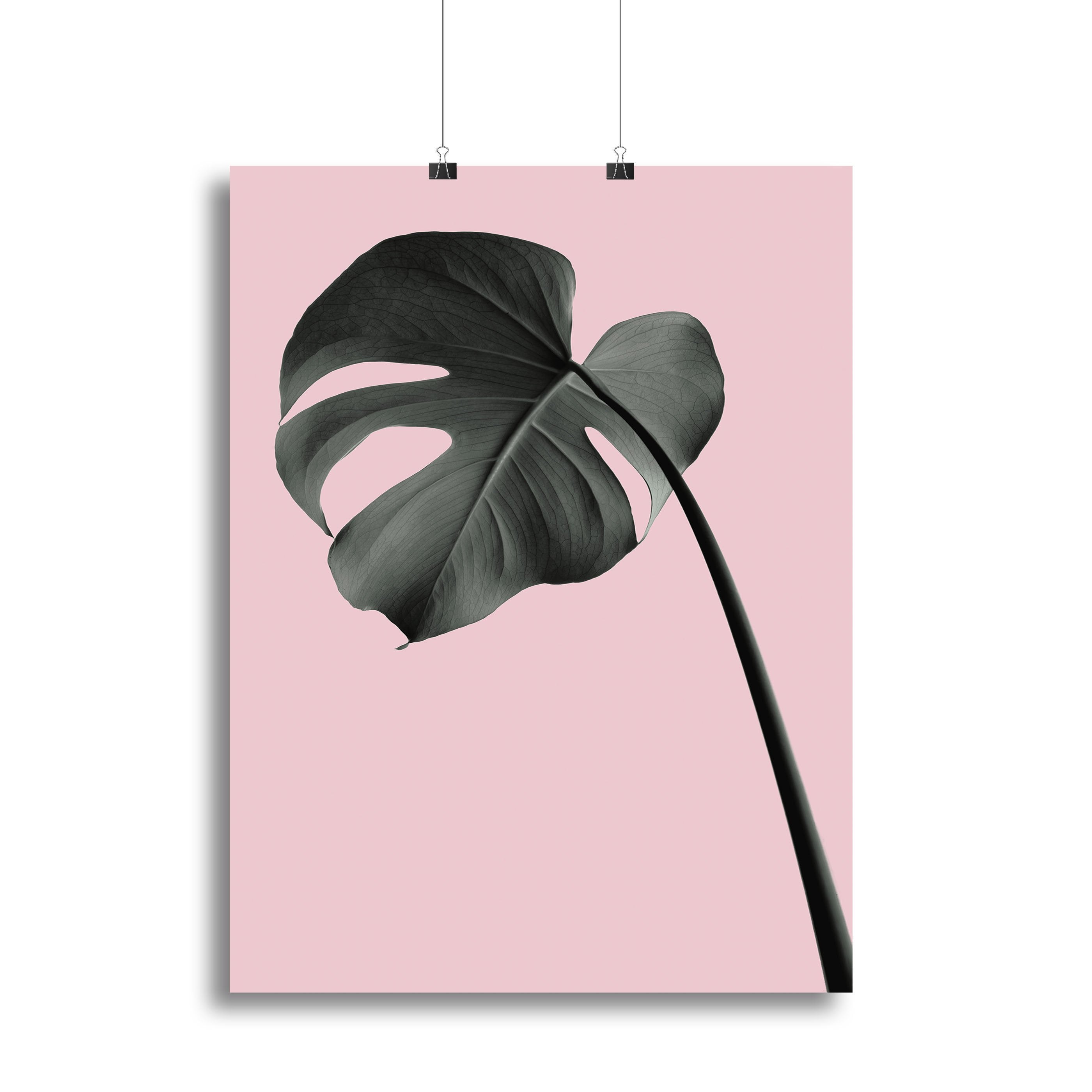 Monstera Pink No 02 Canvas Print or Poster - Canvas Art Rocks - 2