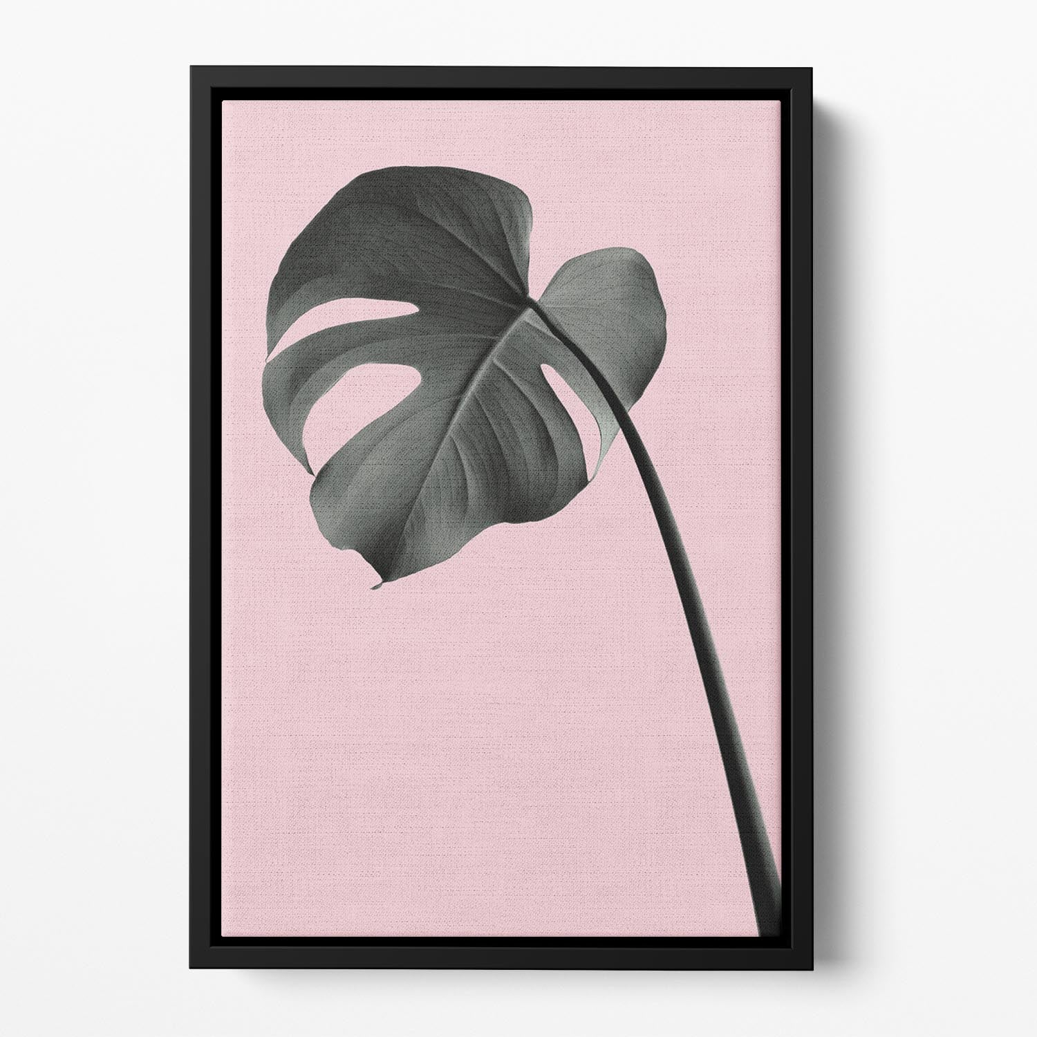 Monstera Pink No 02 Floating Framed Canvas - Canvas Art Rocks - 2