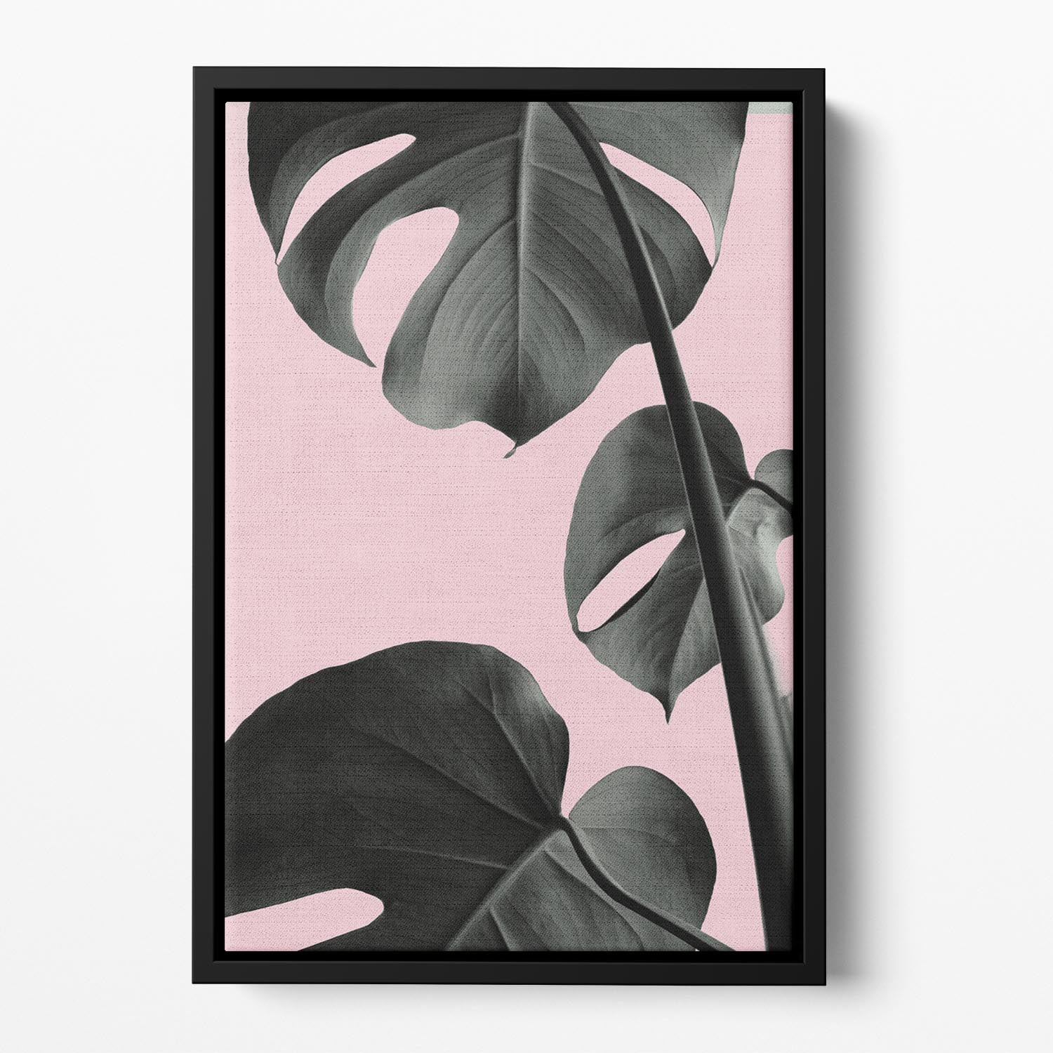 Monstera Pink No 03 Floating Framed Canvas - Canvas Art Rocks - 2