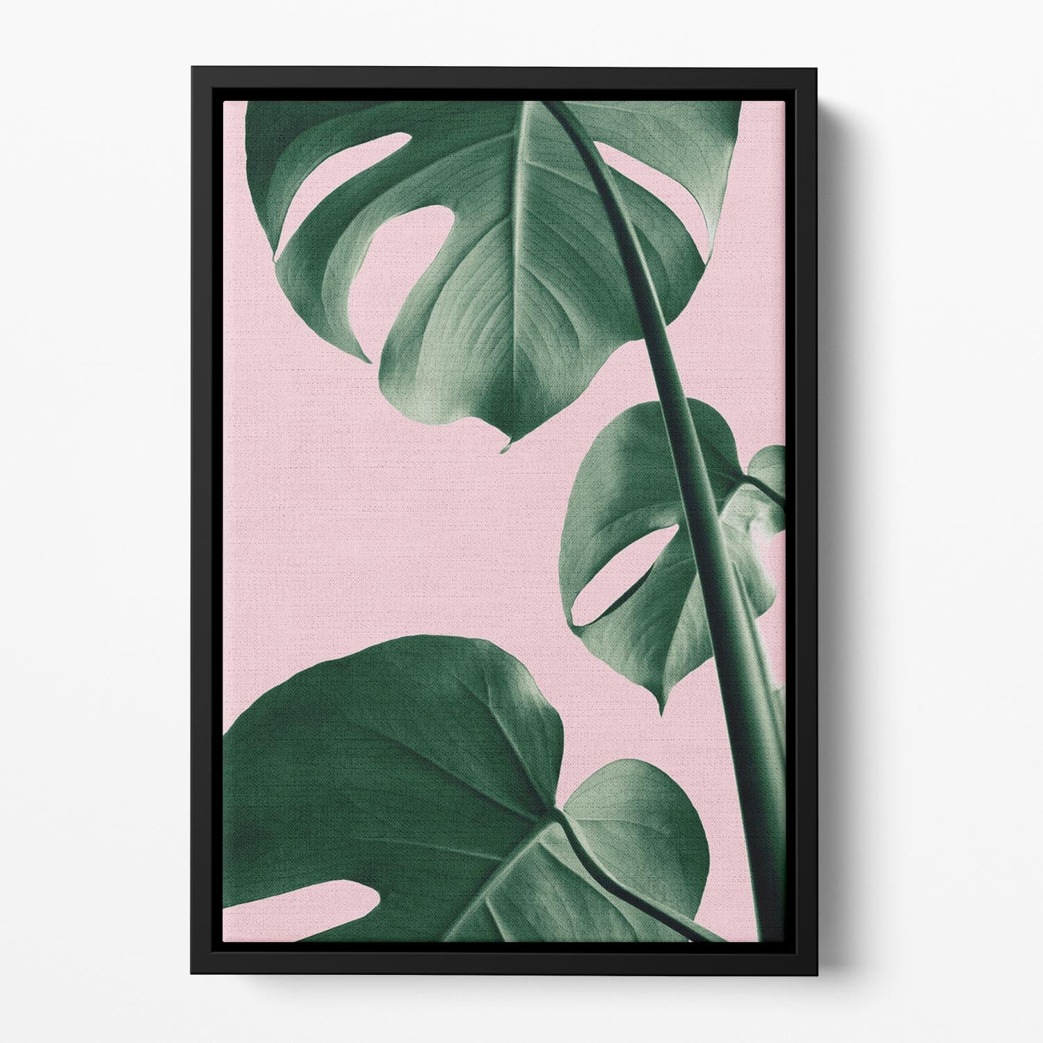 Monstera Pink No 06 Floating Framed Canvas - Canvas Art Rocks - 2