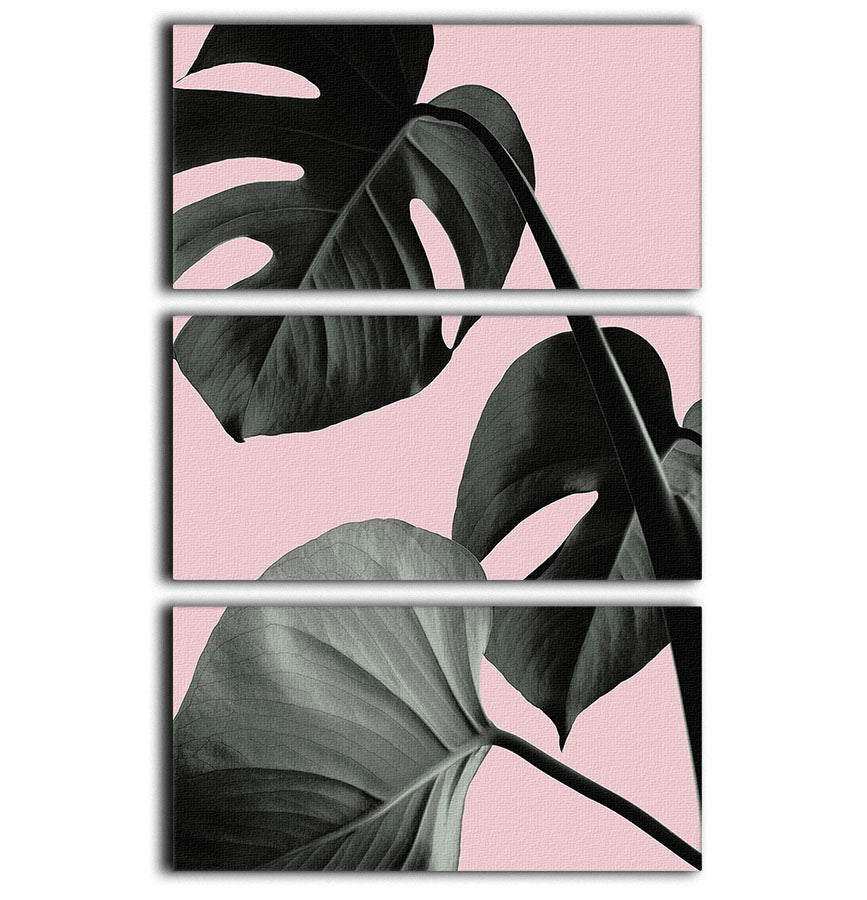 Monstera Pink No 04 3 Split Panel Canvas Print - Canvas Art Rocks - 1