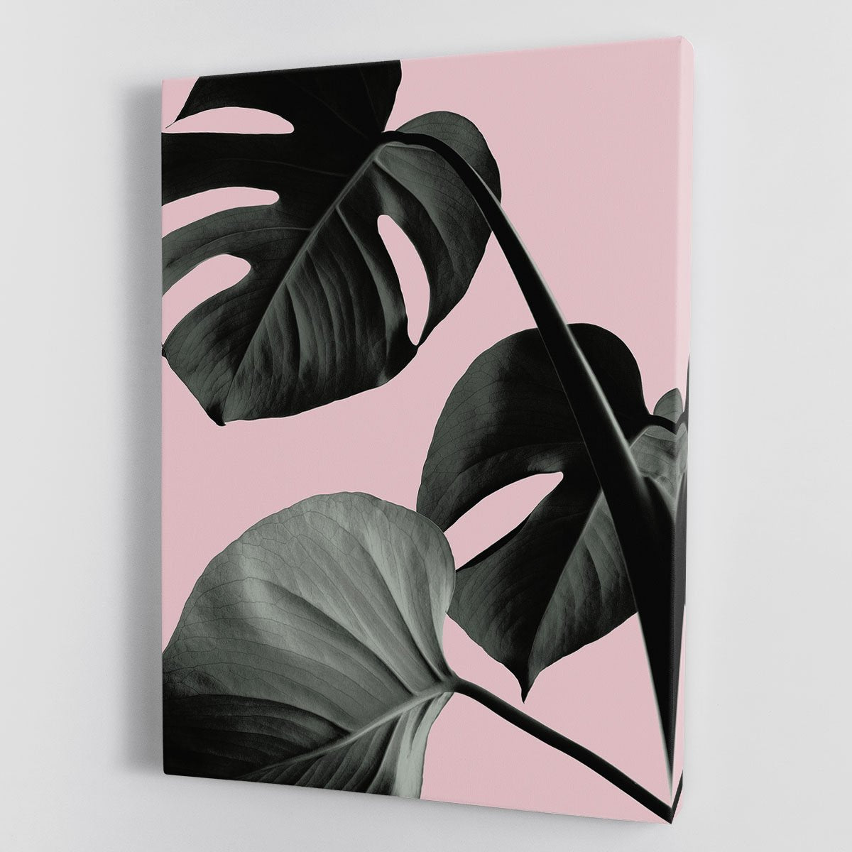 Monstera Pink No 04 Canvas Print or Poster - Canvas Art Rocks - 1