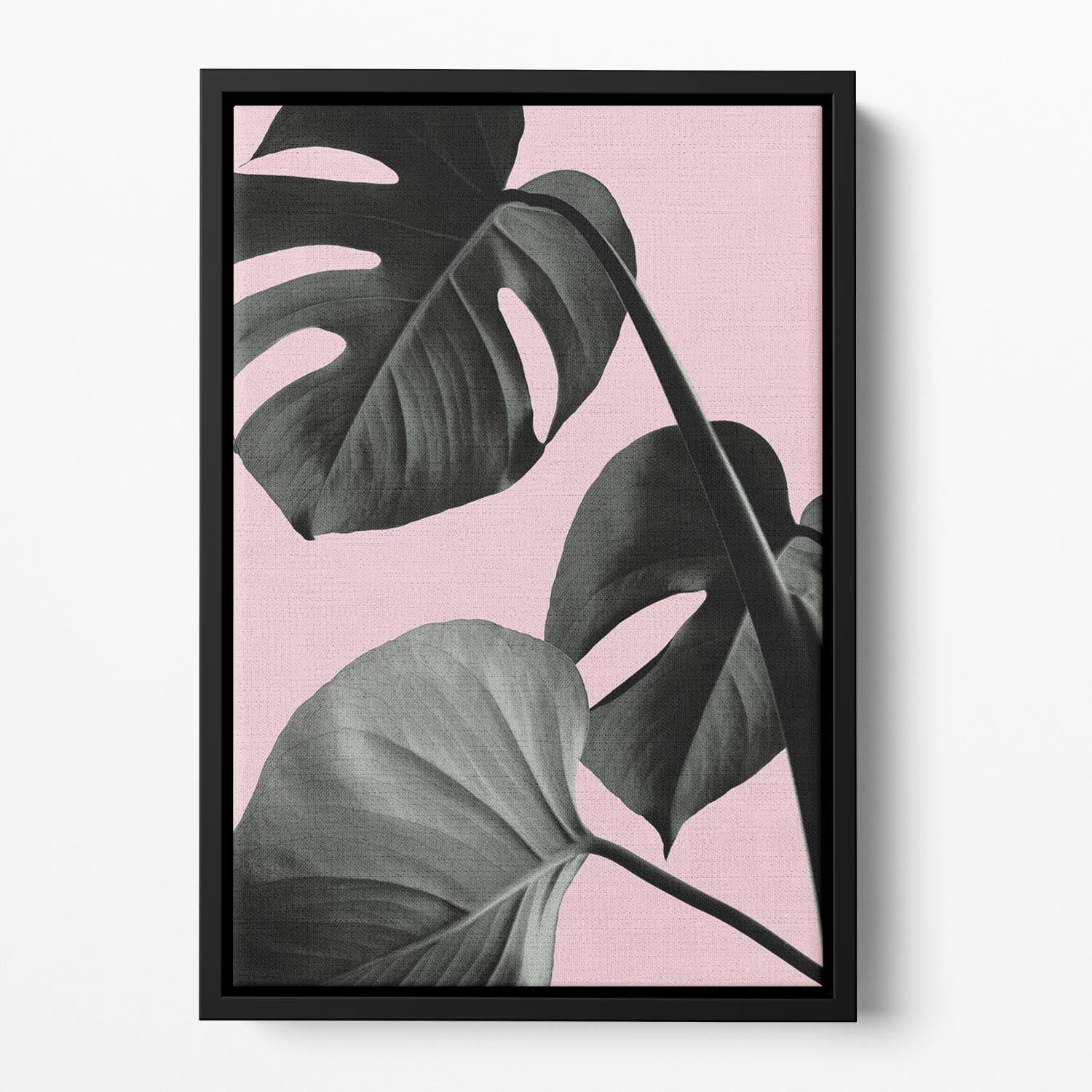 Monstera Pink No 04 Floating Framed Canvas - Canvas Art Rocks - 2