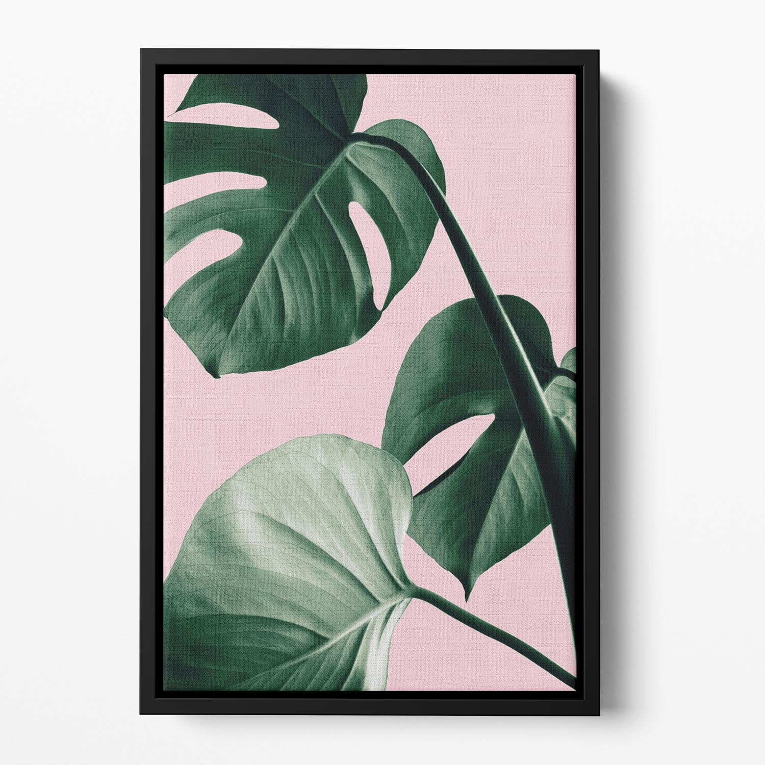 Monstera Pink No 07 Floating Framed Canvas - Canvas Art Rocks - 2