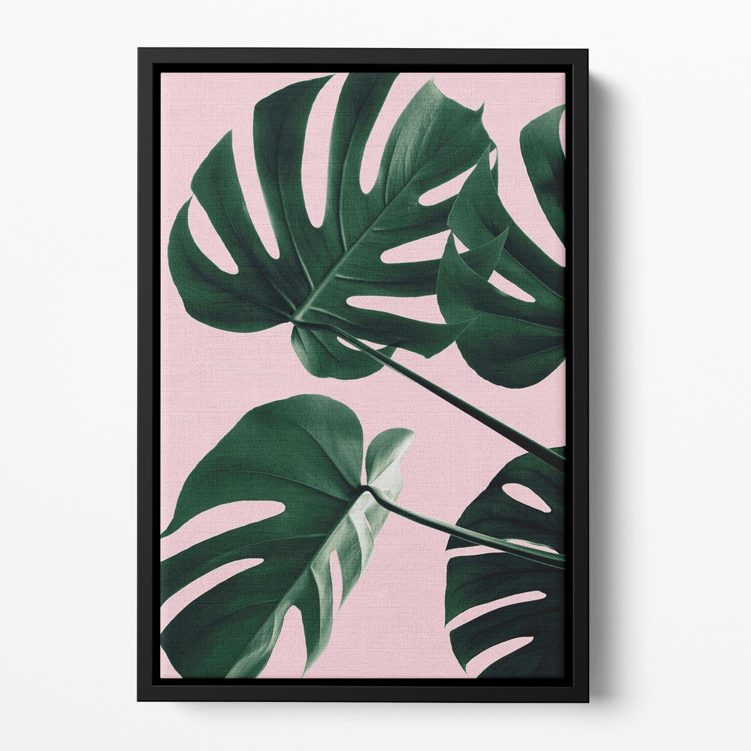 Monstera Pink No 08 Floating Framed Canvas - Canvas Art Rocks - 2