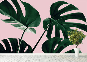 Monstera Pink No 08 Wall Mural Wallpaper - Canvas Art Rocks - 4