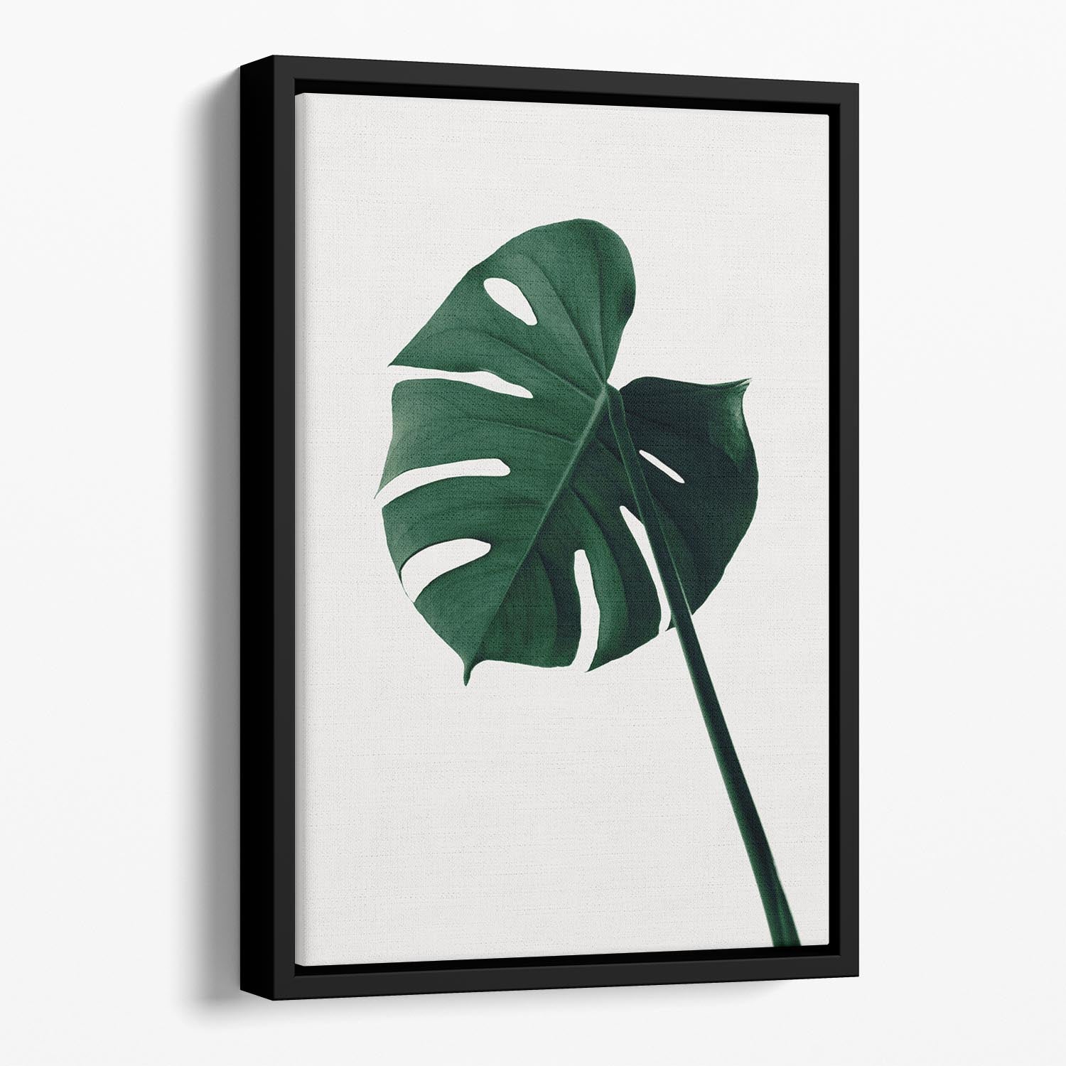 Monstera Natural 07 Floating Framed Canvas - Canvas Art Rocks - 1