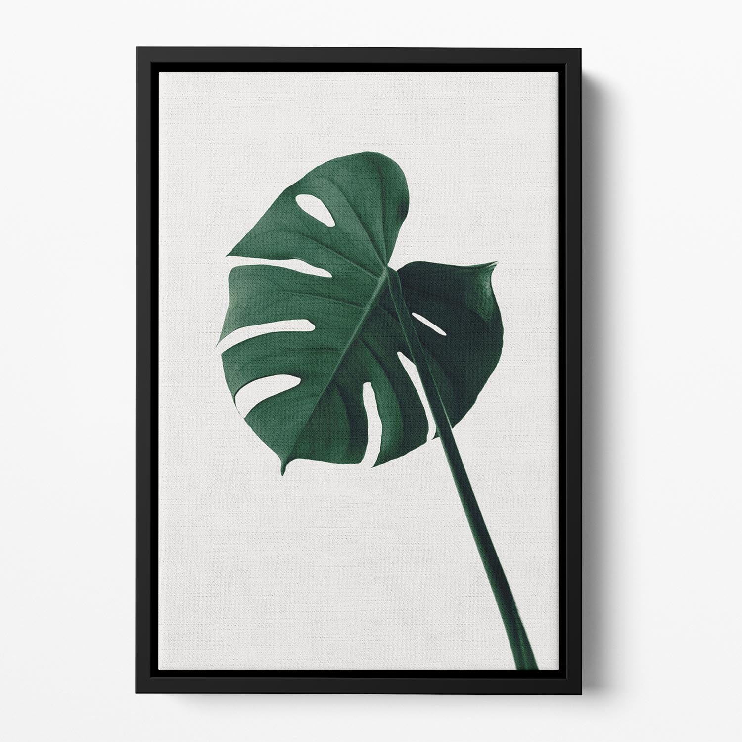 Monstera Natural 07 Floating Framed Canvas - Canvas Art Rocks - 2