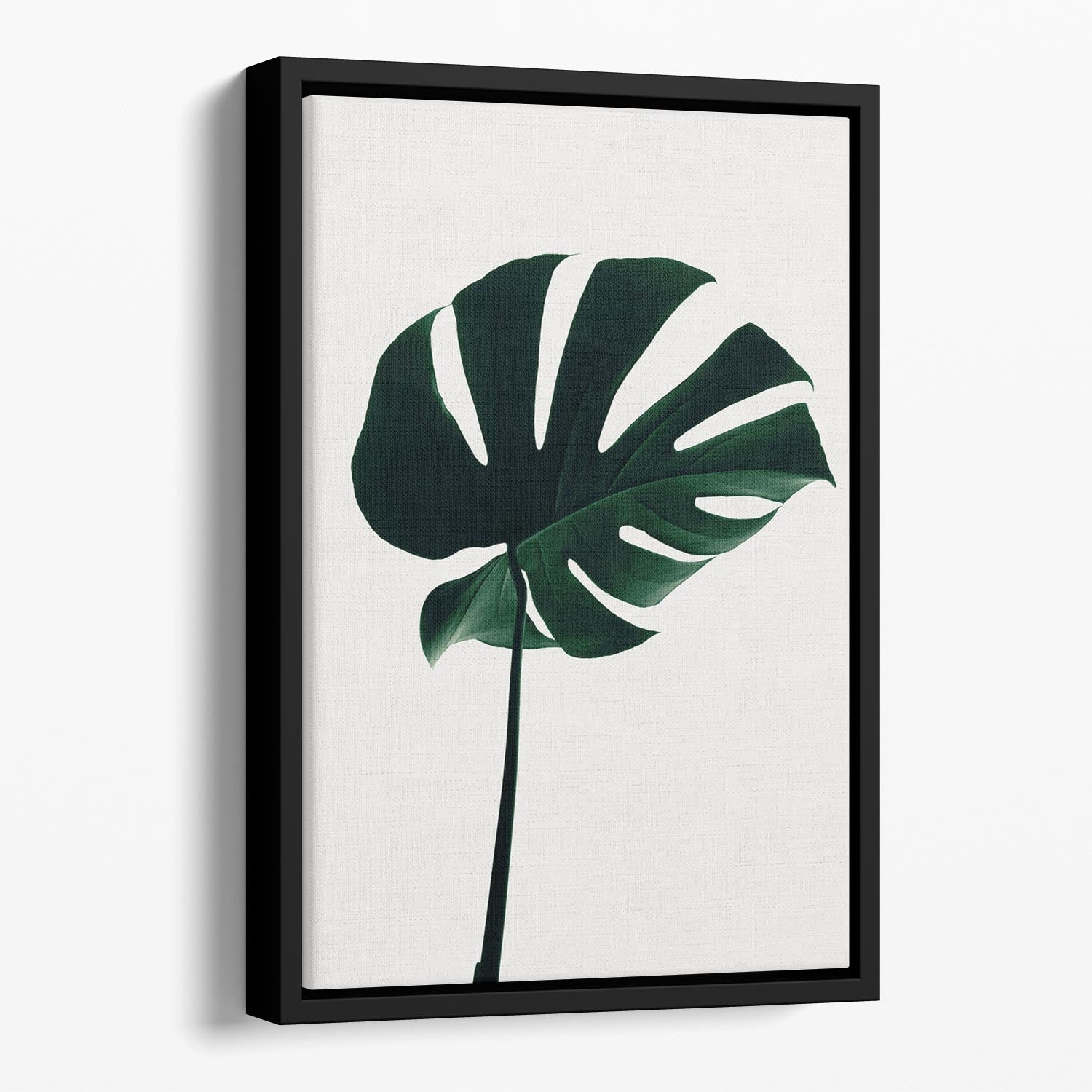 Monstera Natural 10 Floating Framed Canvas - Canvas Art Rocks - 1