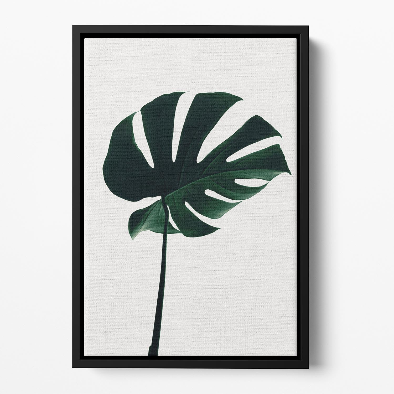 Monstera Natural 10 Floating Framed Canvas - Canvas Art Rocks - 2