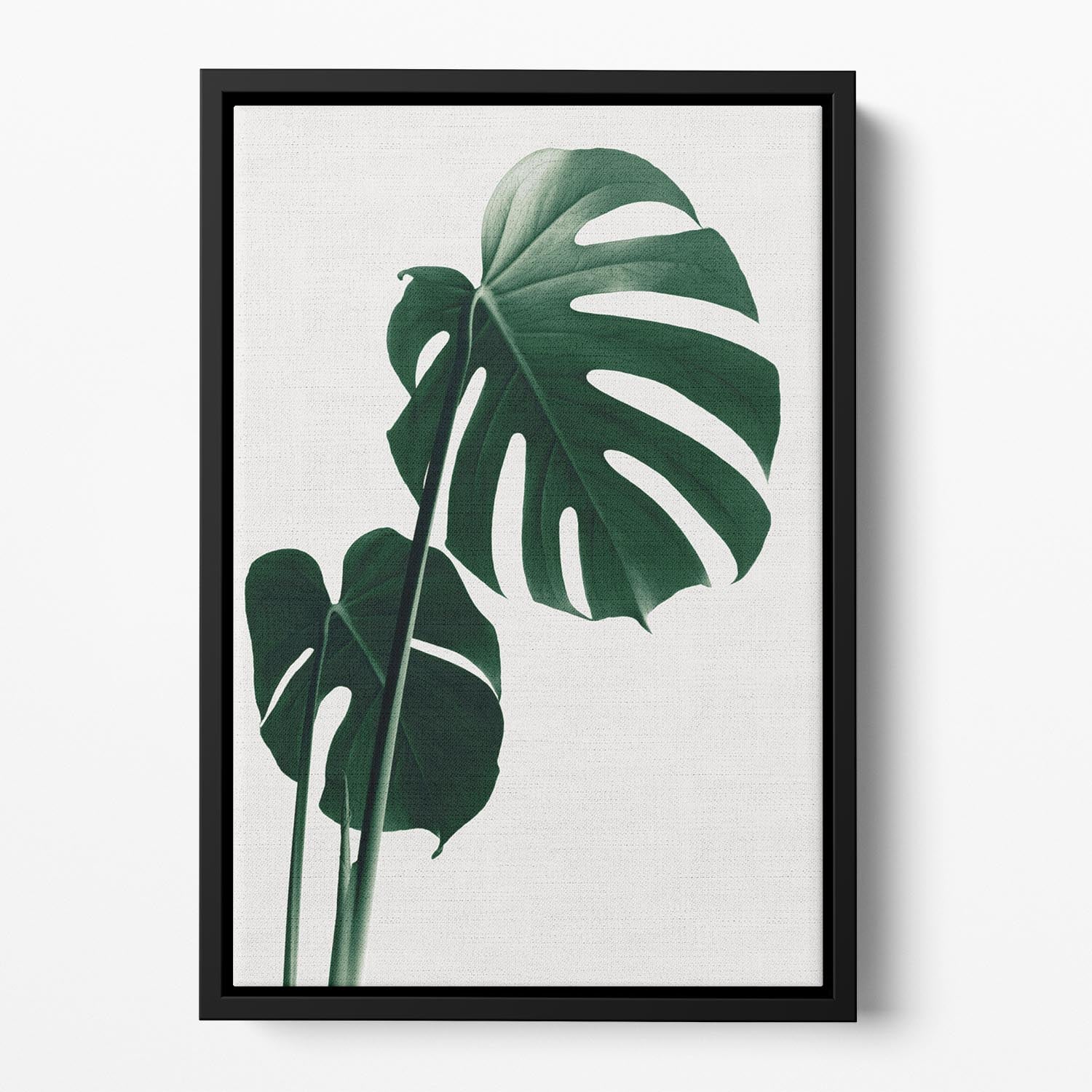 Monstera Natural 16 Floating Framed Canvas - Canvas Art Rocks - 2