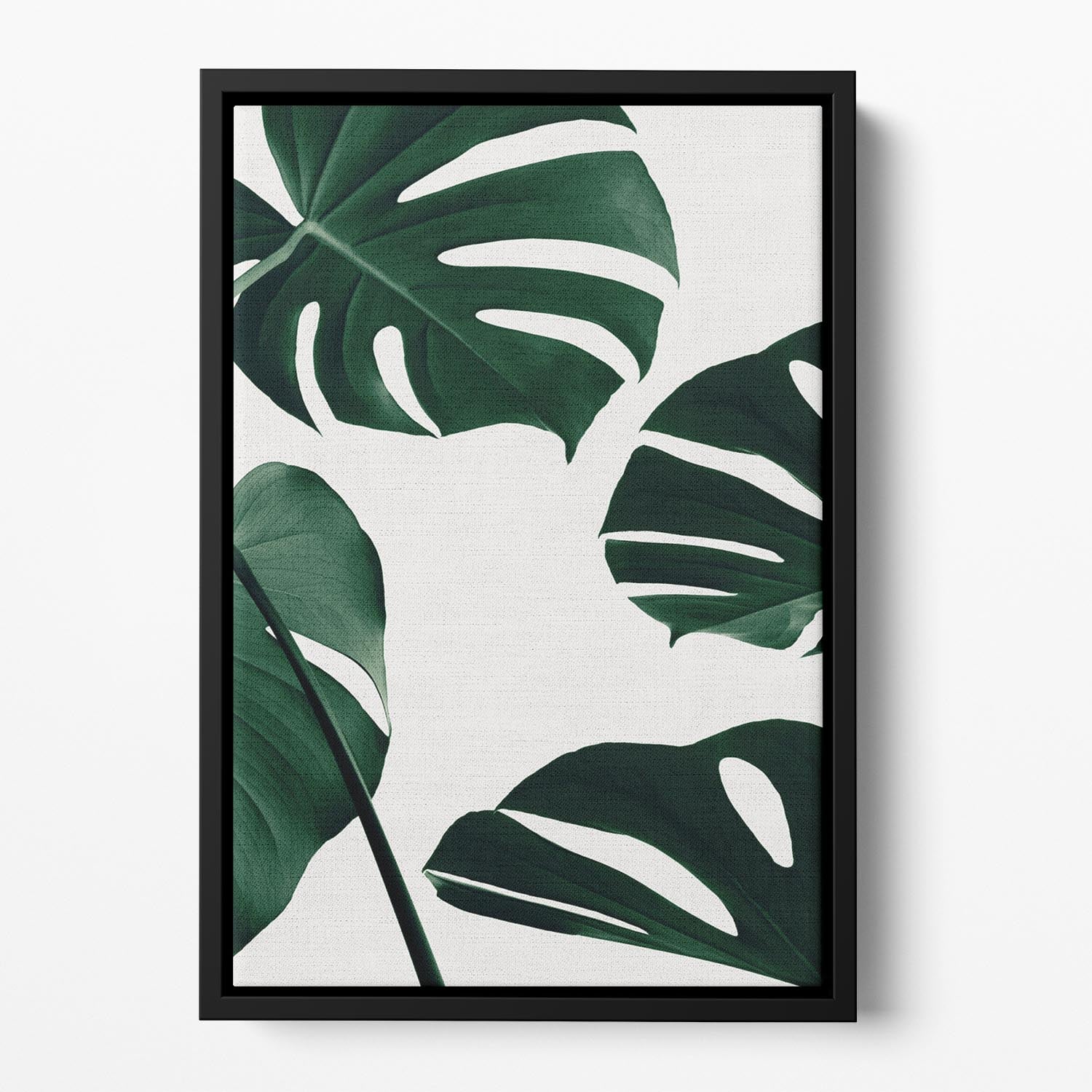 Monstera Natural 20 Floating Framed Canvas - Canvas Art Rocks - 2