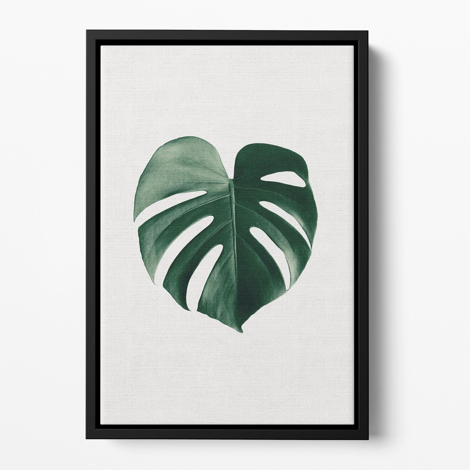 Monstera Natural 24 Floating Framed Canvas - Canvas Art Rocks - 2