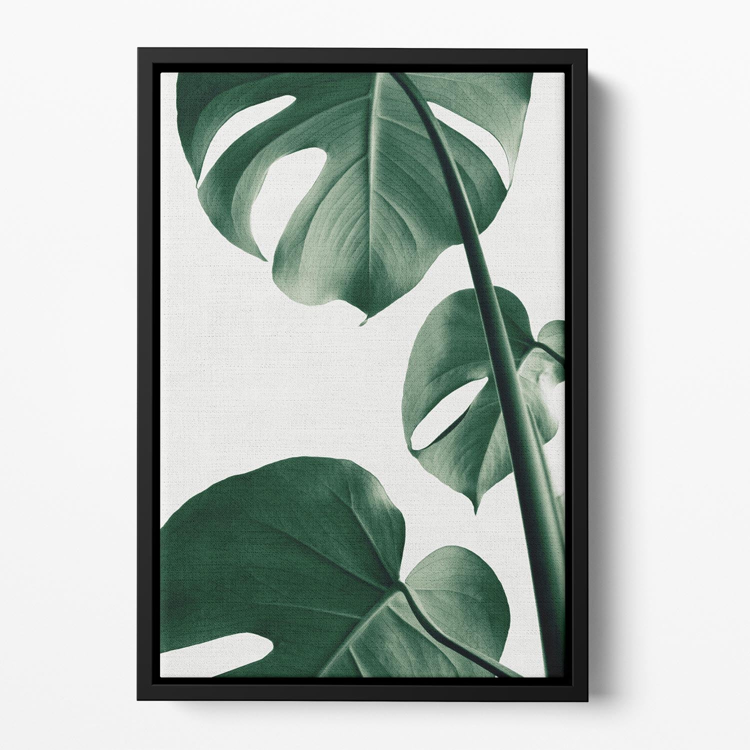 Monstera Natural 37 Floating Framed Canvas - Canvas Art Rocks - 2