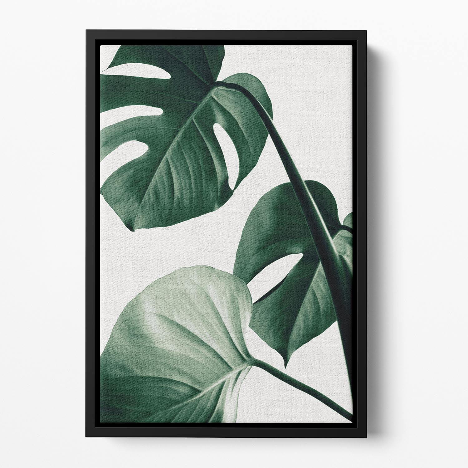 Monstera Natural 42 Floating Framed Canvas - Canvas Art Rocks - 2