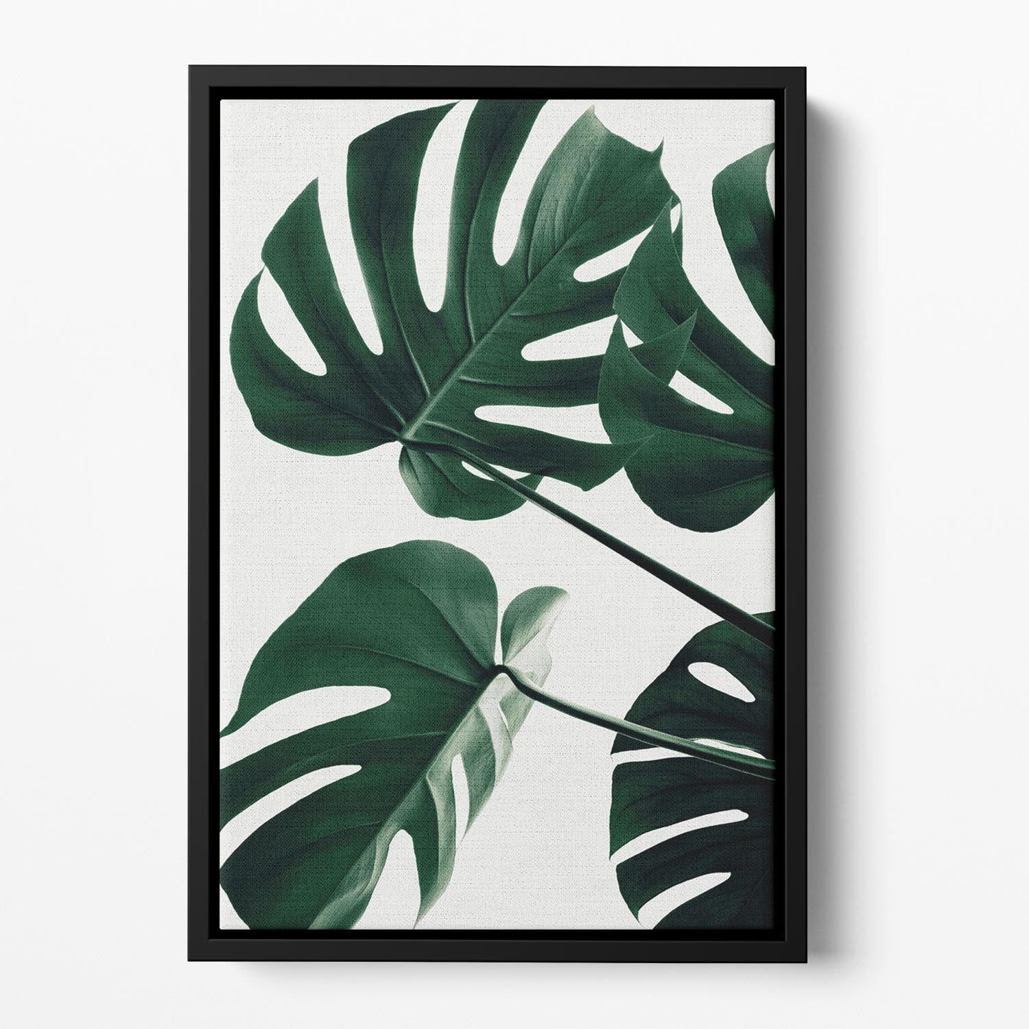 Monstera Natural 43 Floating Framed Canvas - Canvas Art Rocks - 2