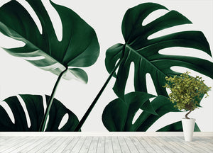 Monstera Natural 43 Wall Mural Wallpaper - Canvas Art Rocks - 4