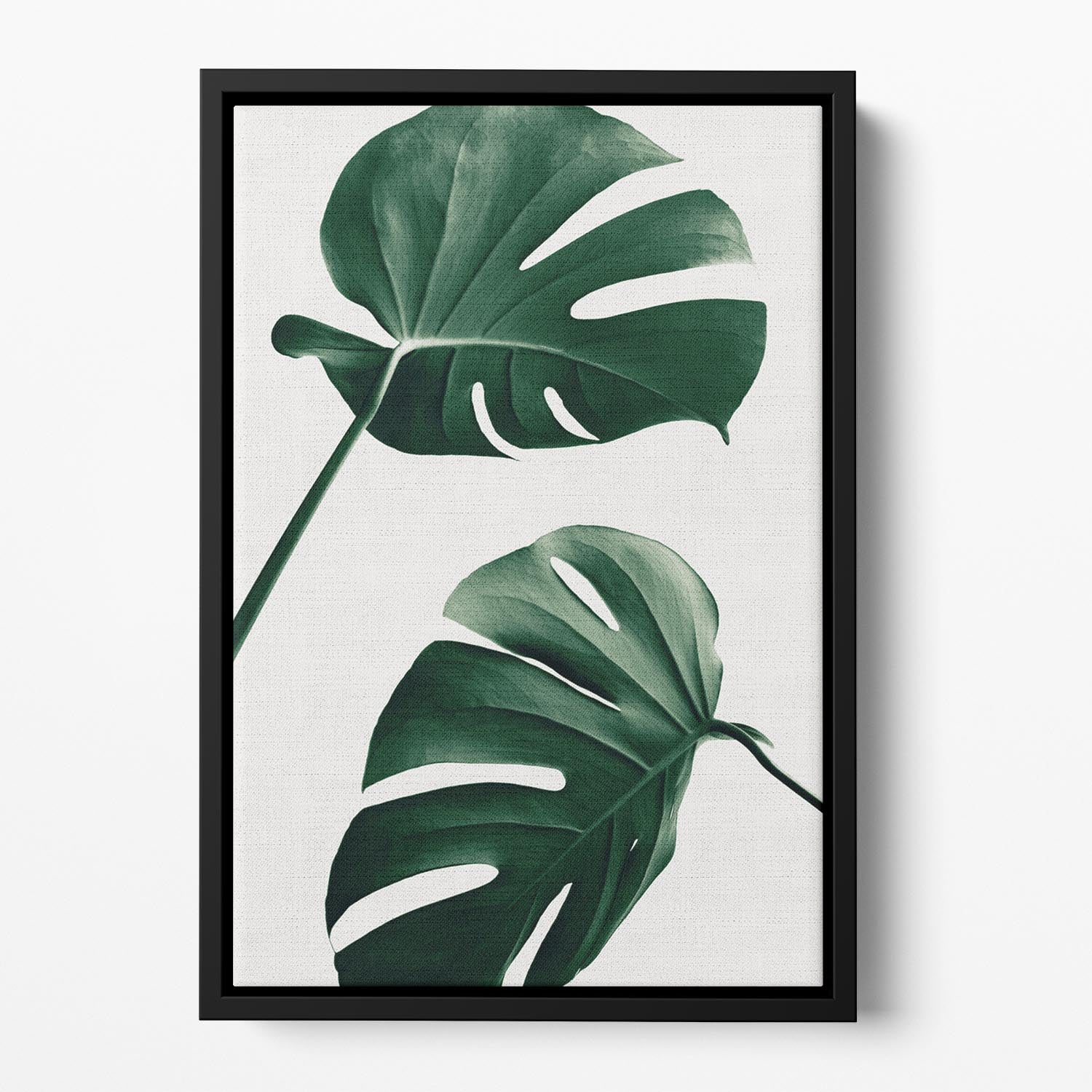 Monstera Natural 46 Floating Framed Canvas - Canvas Art Rocks - 2