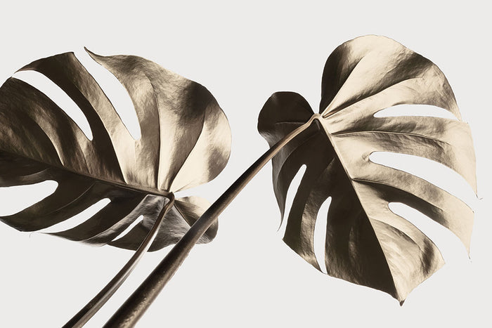 Monstera Gold 08 Wall Mural Wallpaper